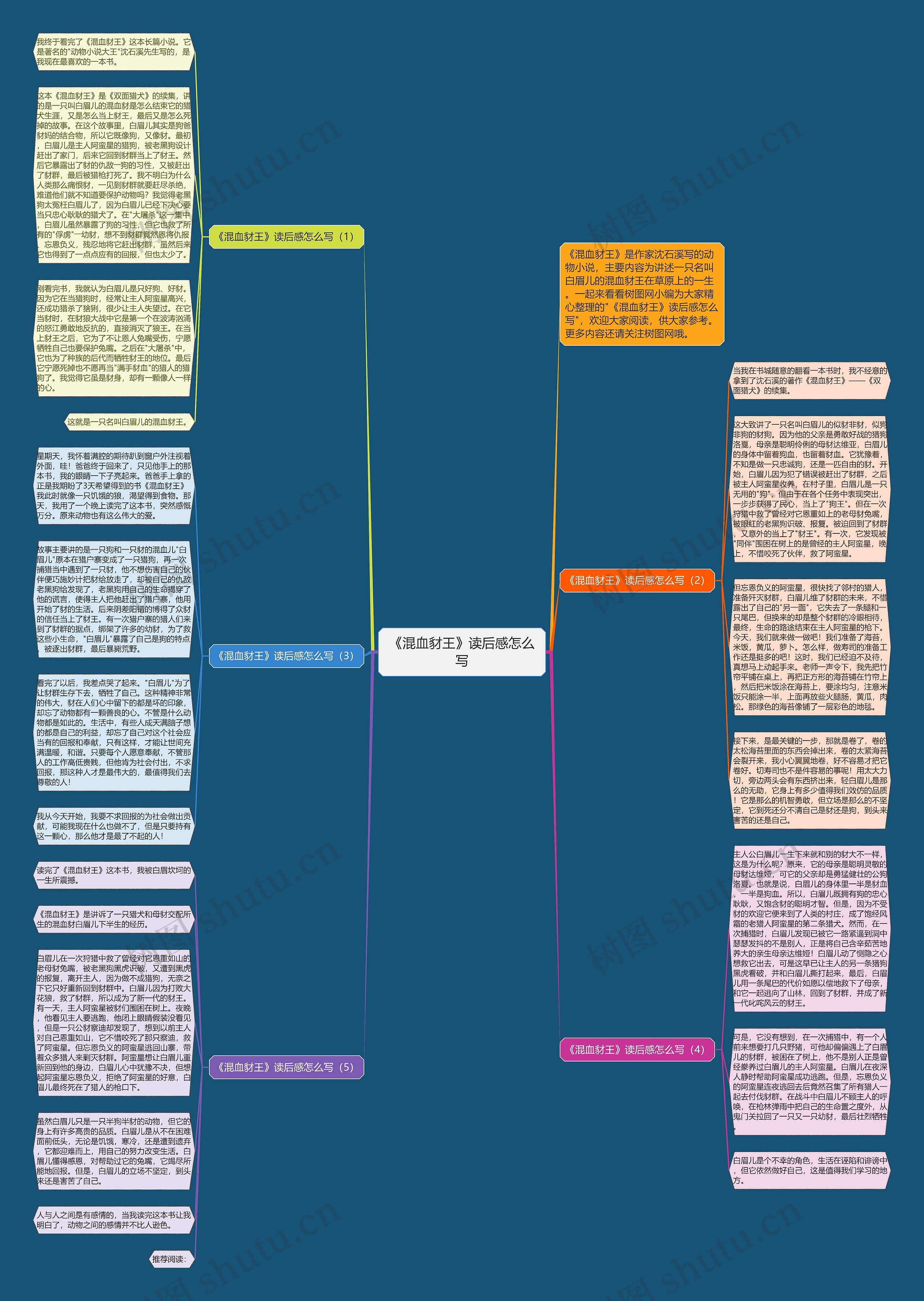 《混血豺王》读后感怎么写思维导图