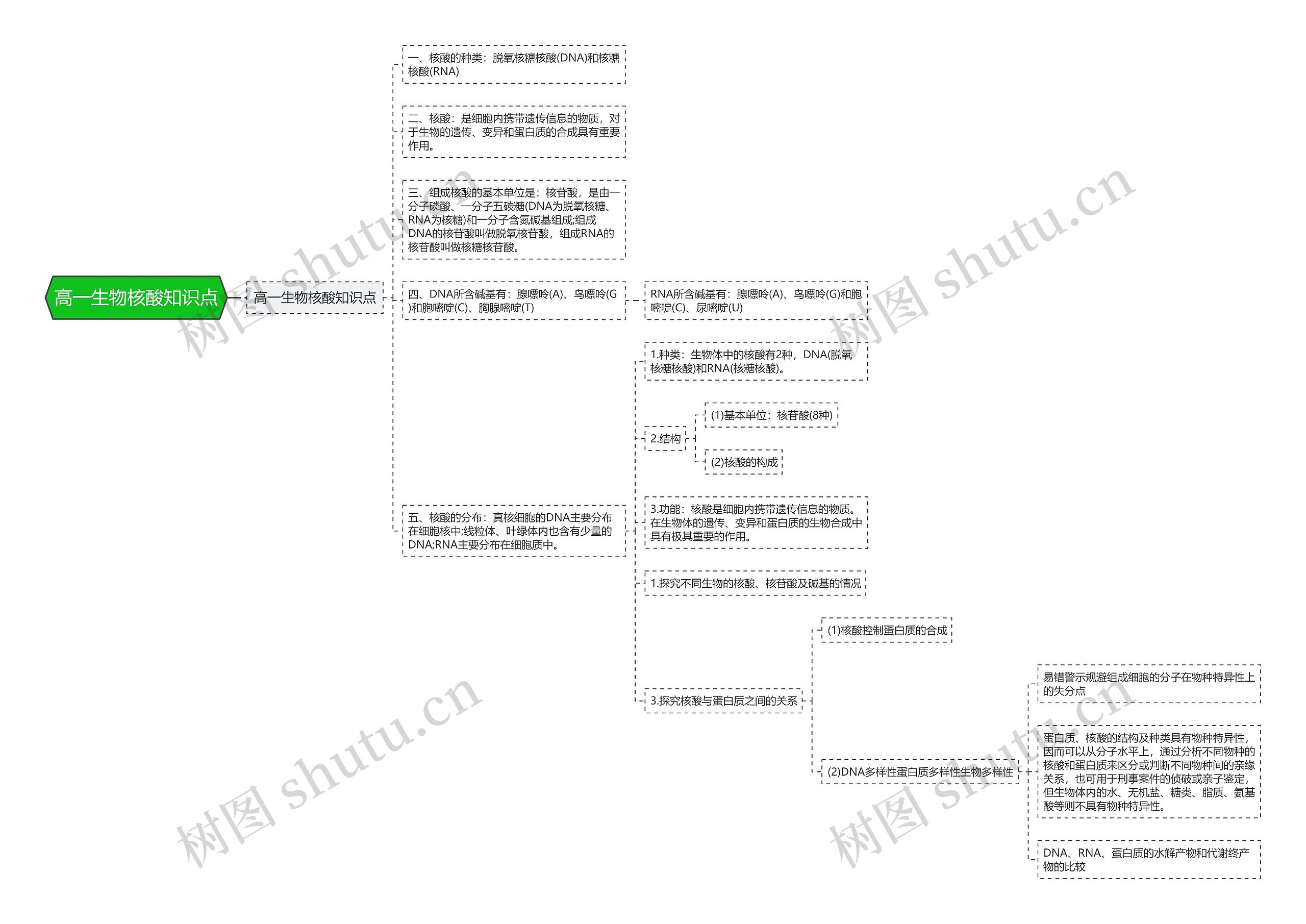 高一生物核酸知识点思维导图