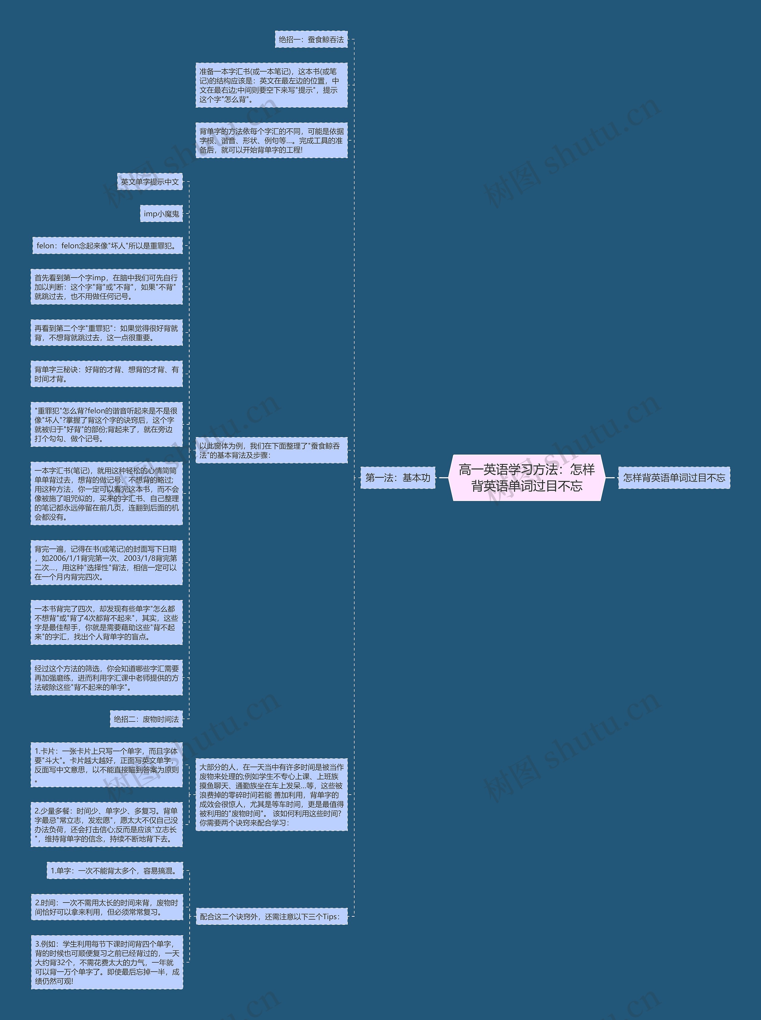 高一英语学习方法：怎样背英语单词过目不忘思维导图