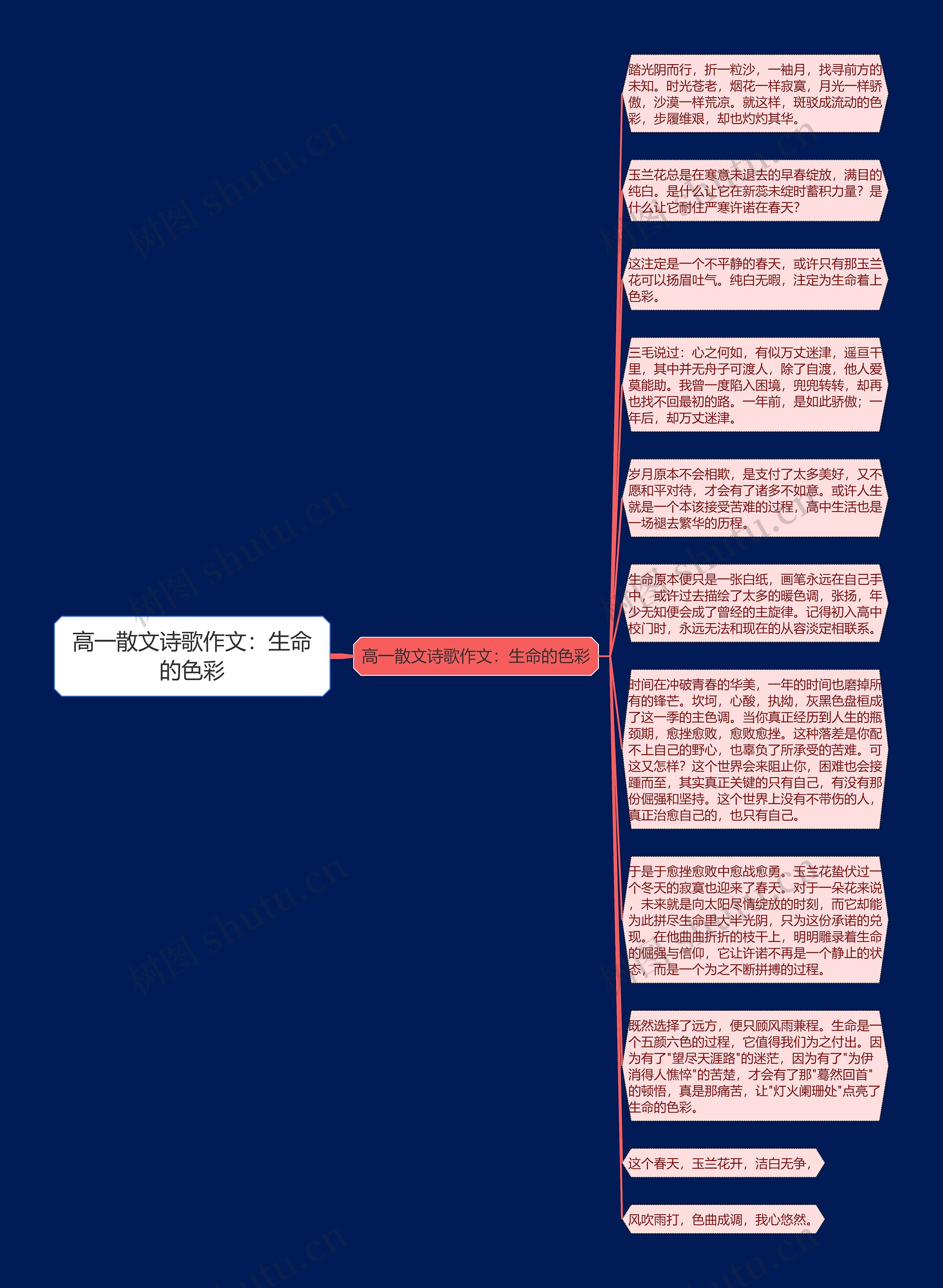 高一散文诗歌作文：生命的色彩