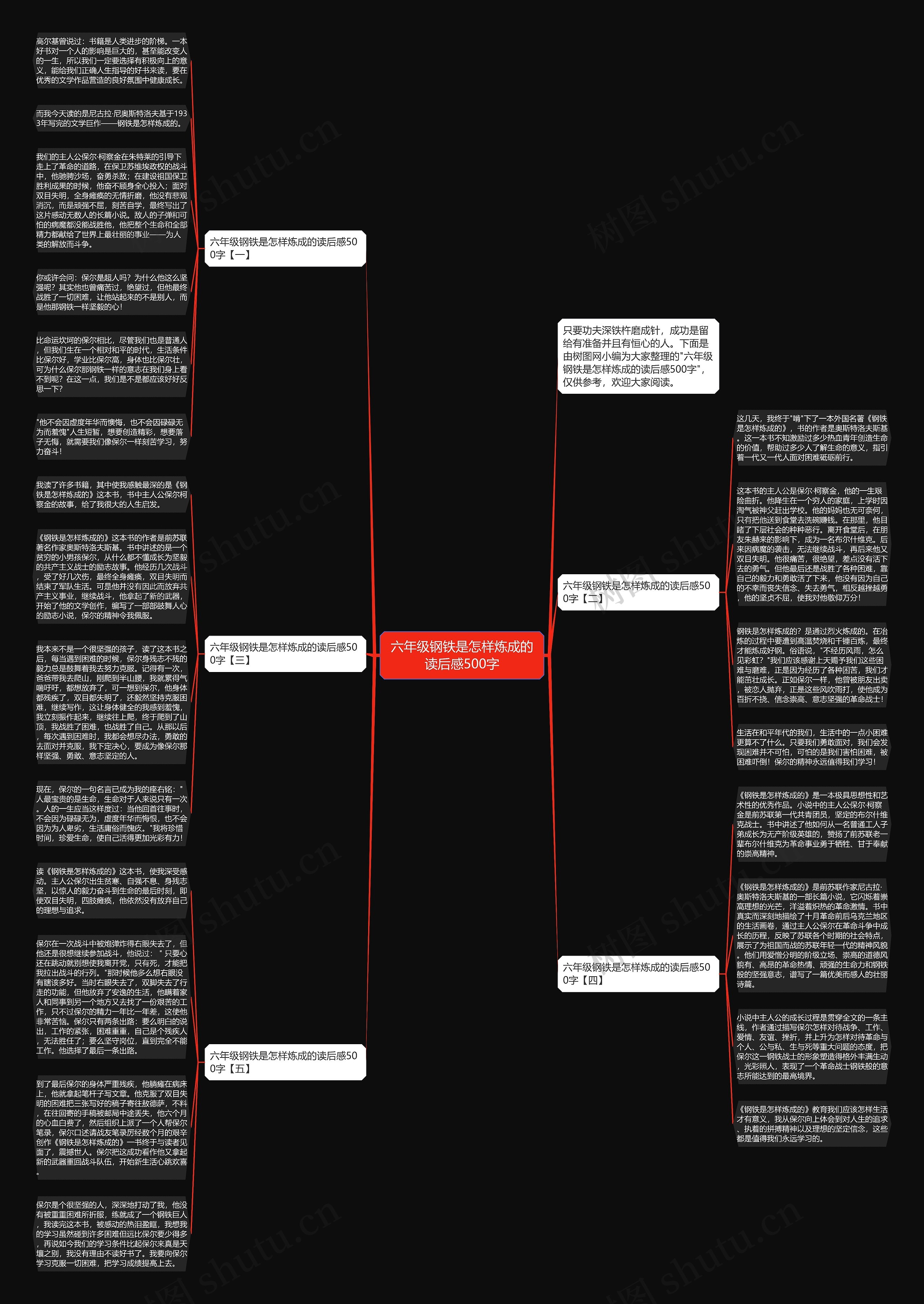 六年级钢铁是怎样炼成的读后感500字