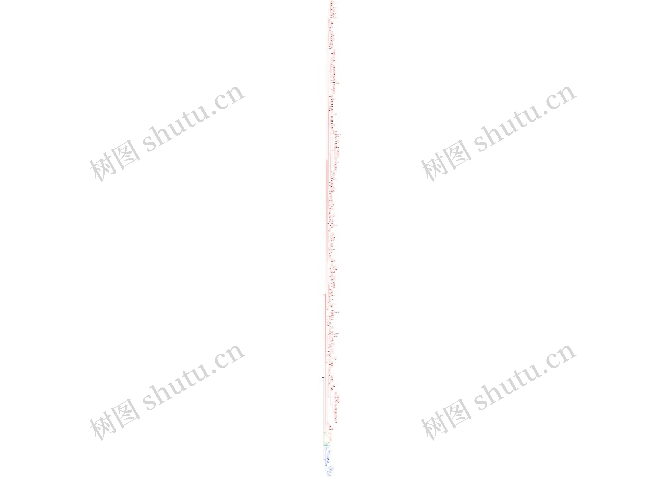 ROOT医疗器械法规知识集