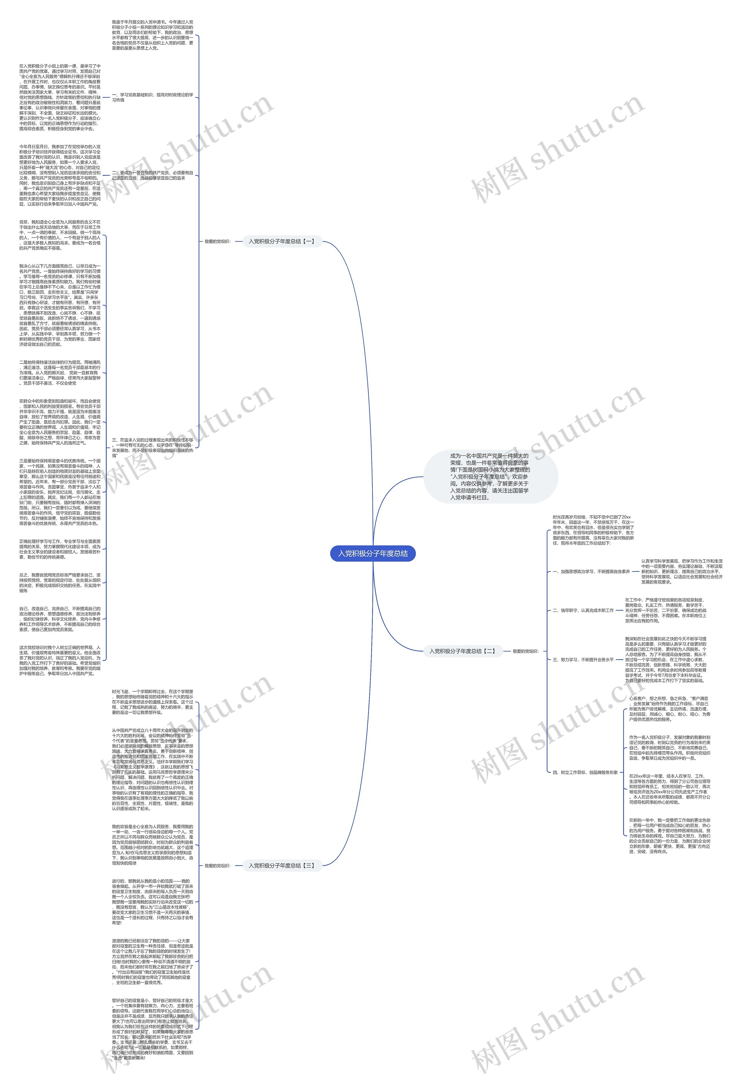 入党积极分子年度总结思维导图