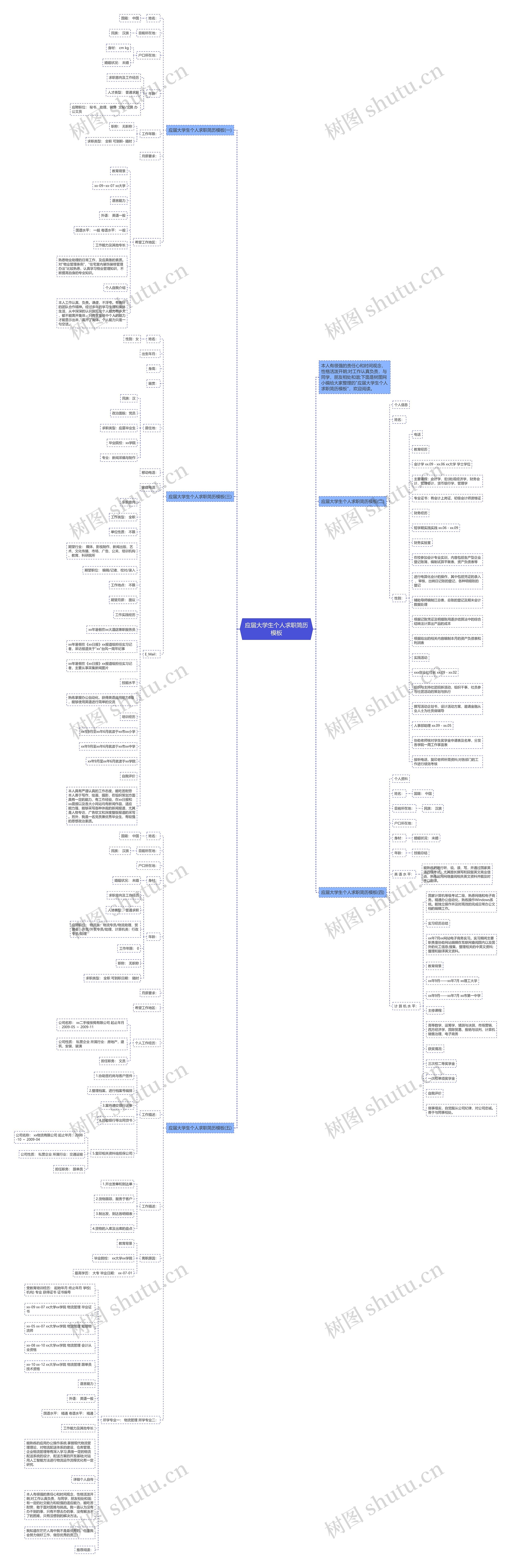 应届大学生个人求职简历思维导图