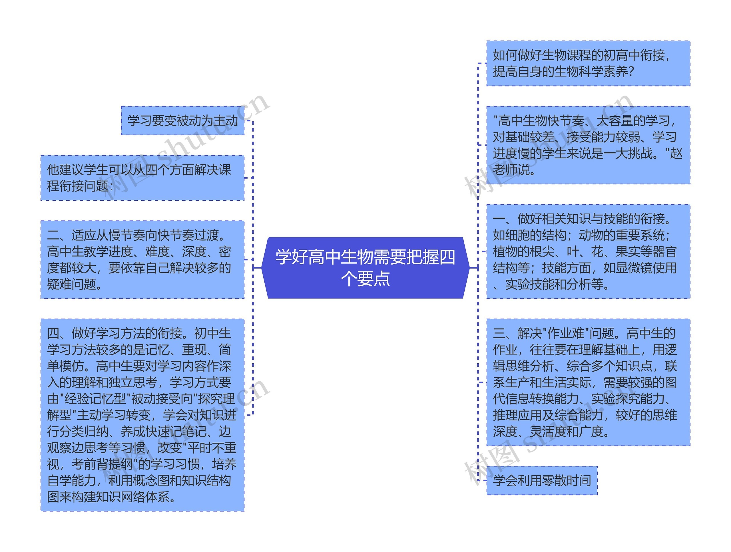 学好高中生物需要把握四个要点思维导图