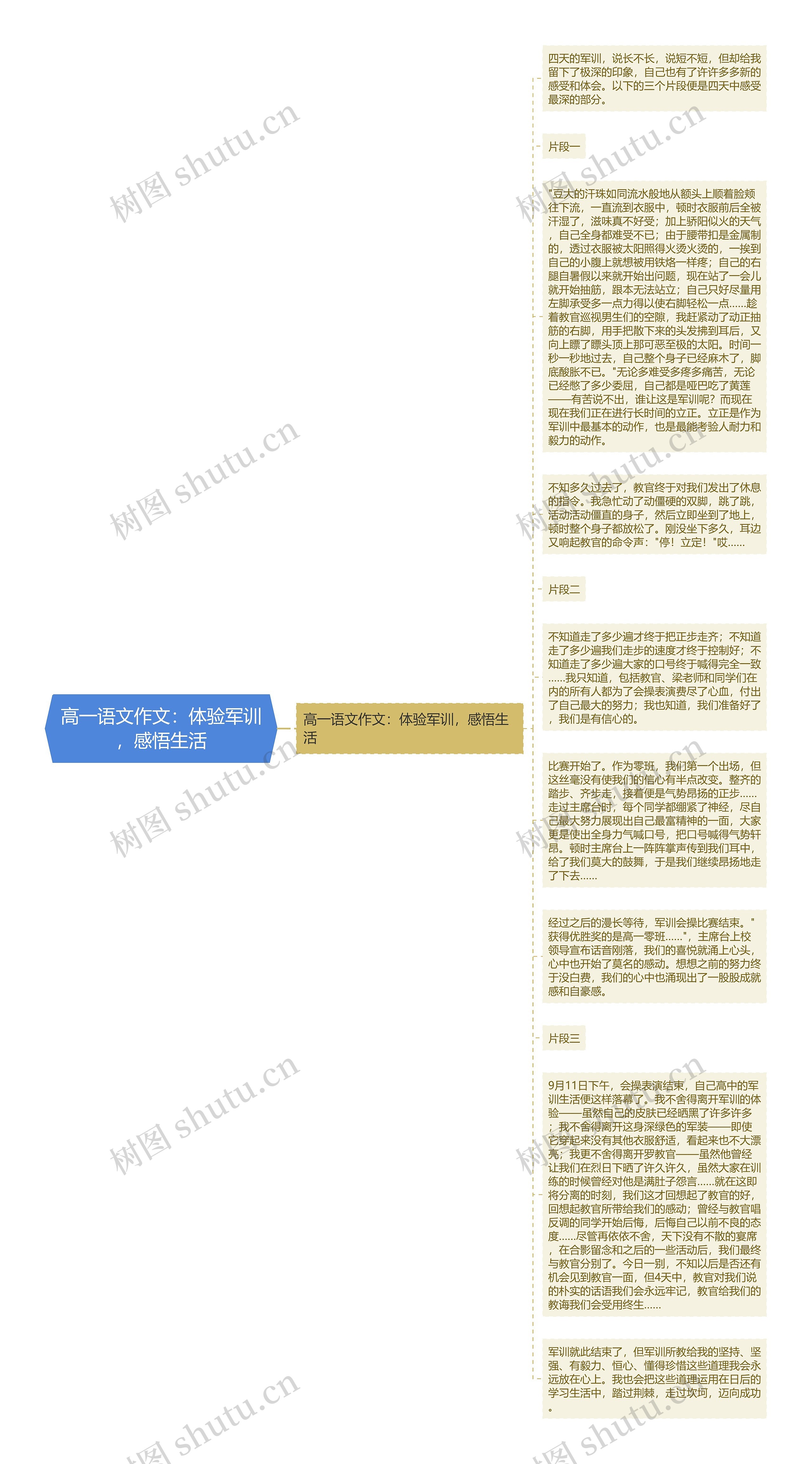 高一语文作文：体验军训，感悟生活
