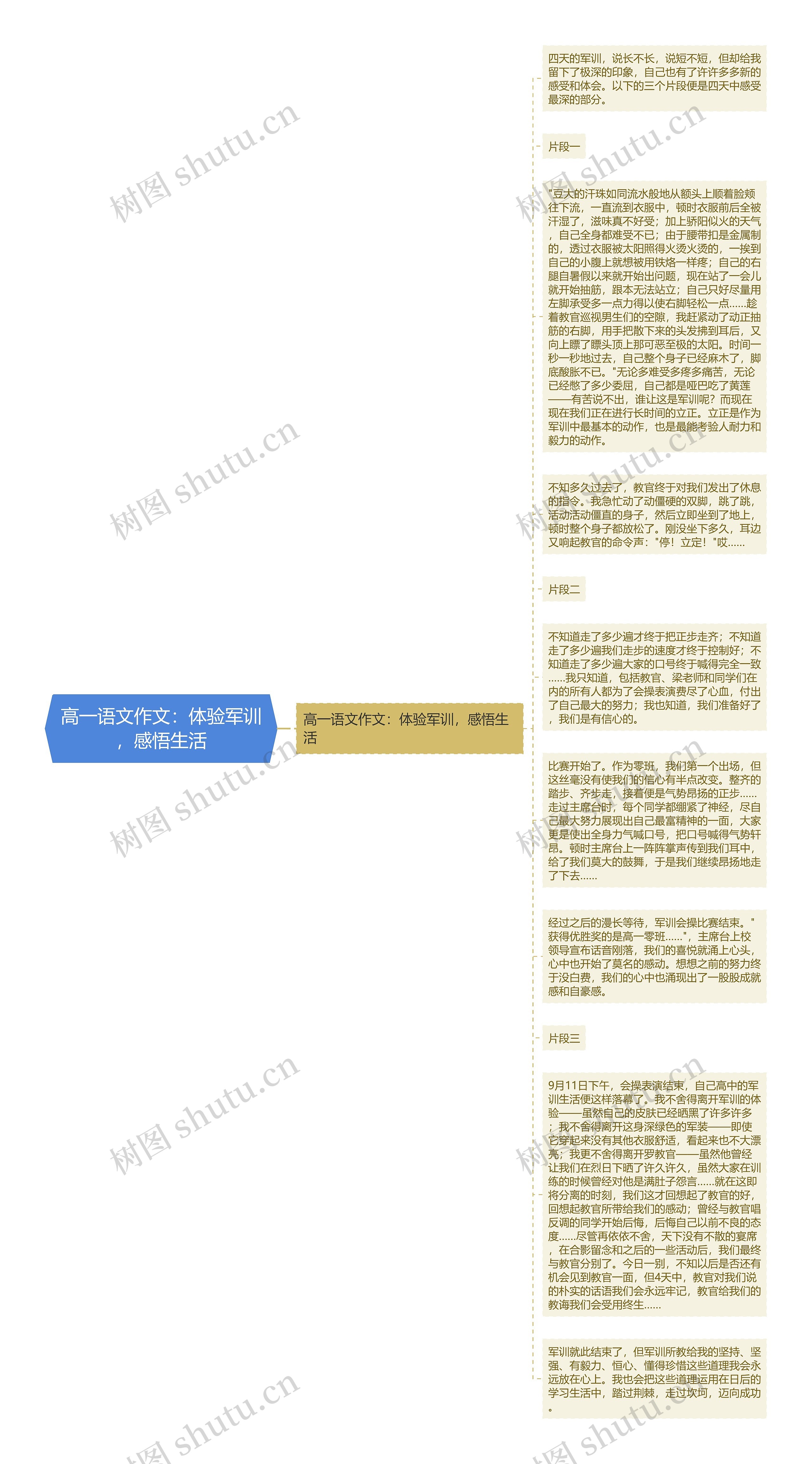 高一语文作文：体验军训，感悟生活思维导图