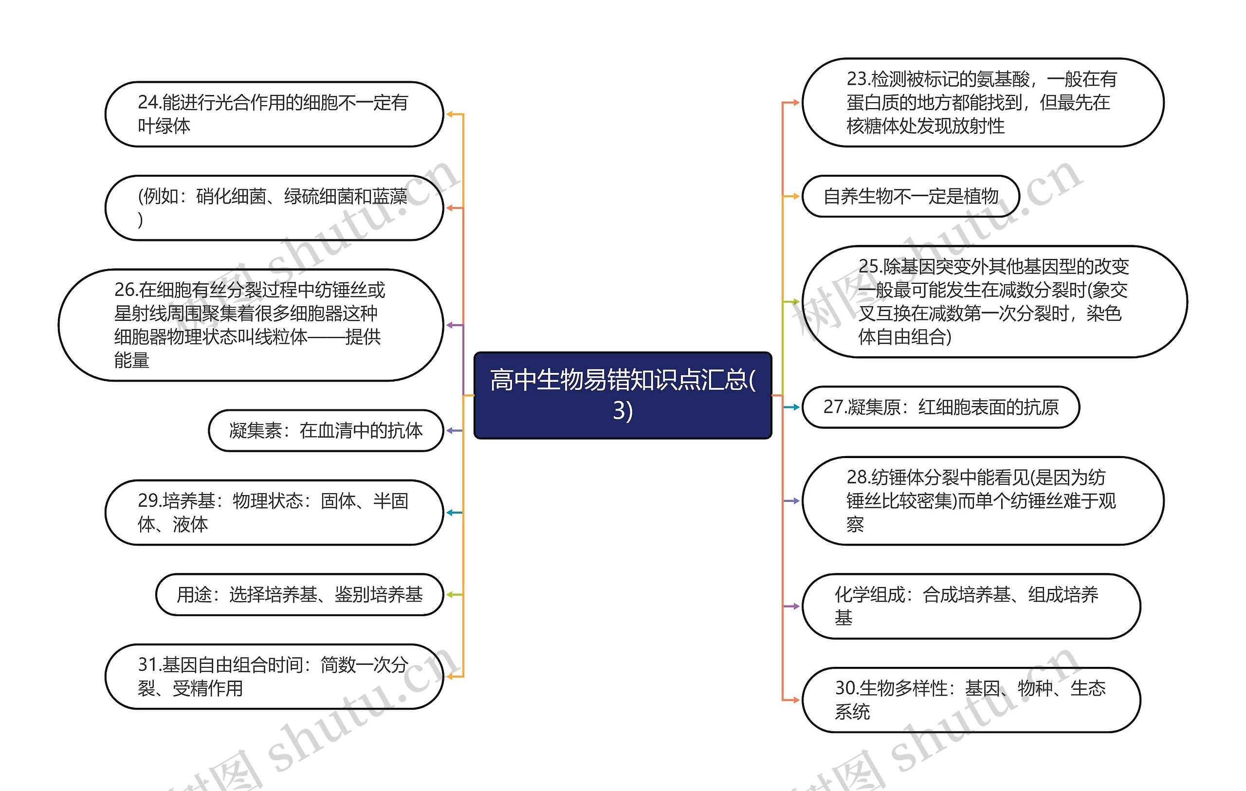 高中生物易错知识点汇总(3)思维导图