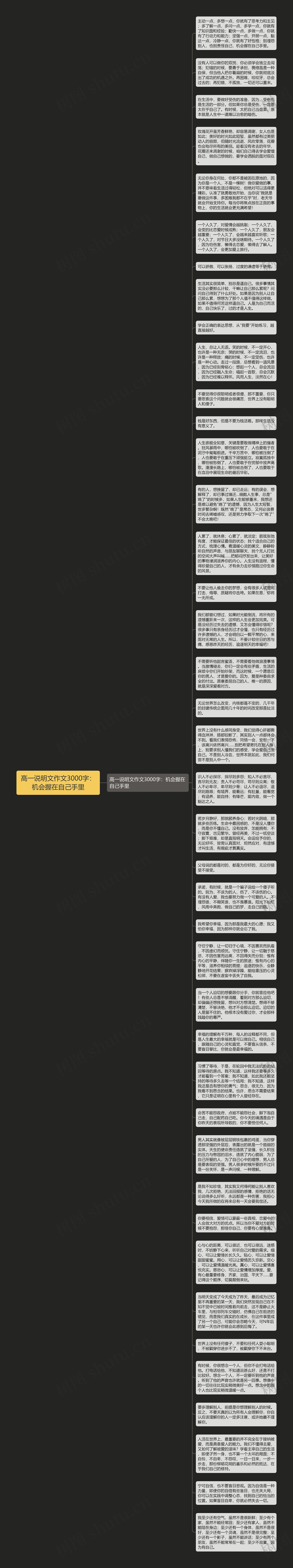 高一说明文作文3000字：机会握在自己手里思维导图