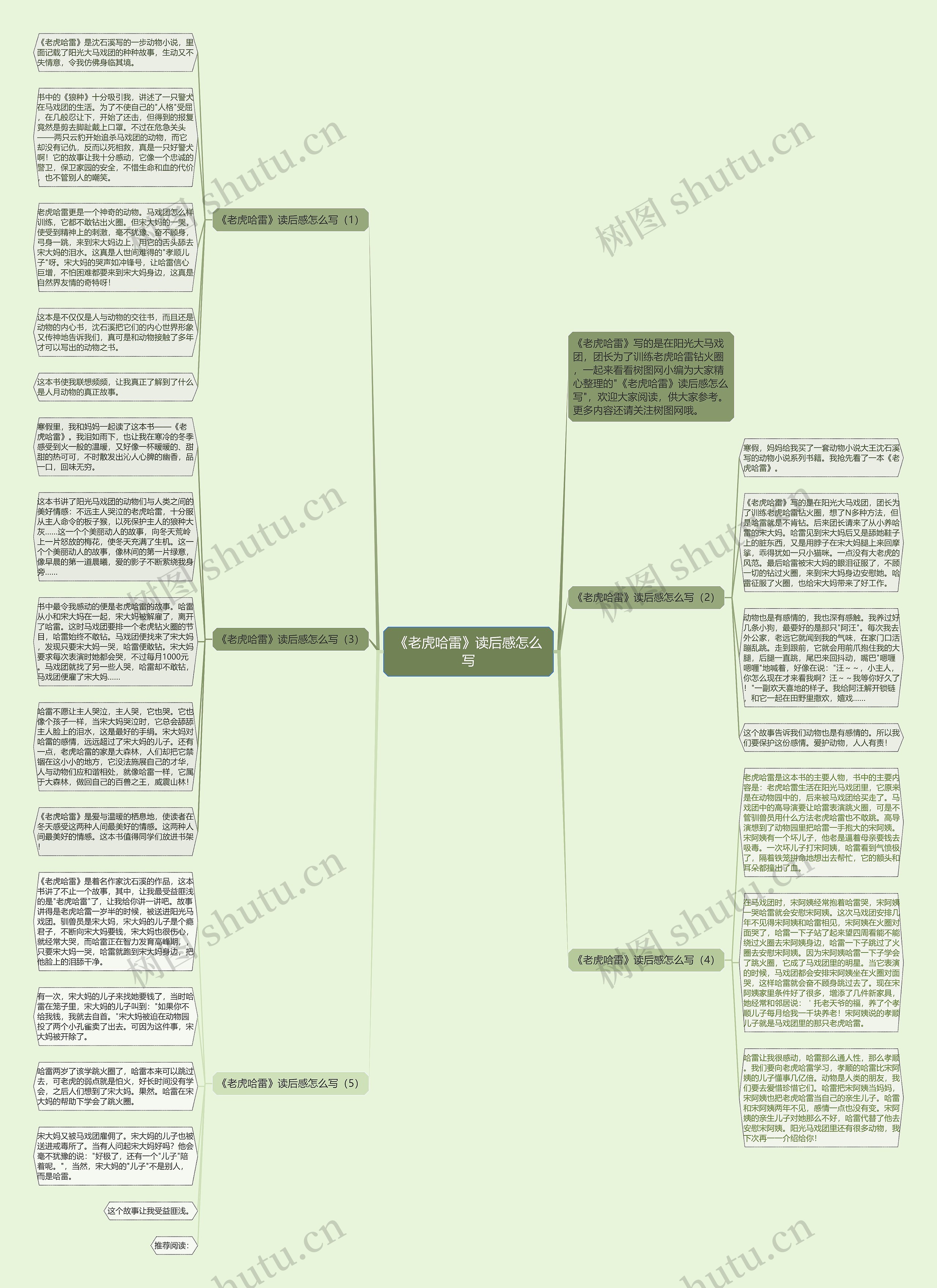 《老虎哈雷》读后感怎么写思维导图