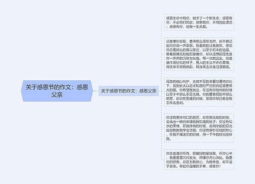 关于感恩节的作文：感恩父亲