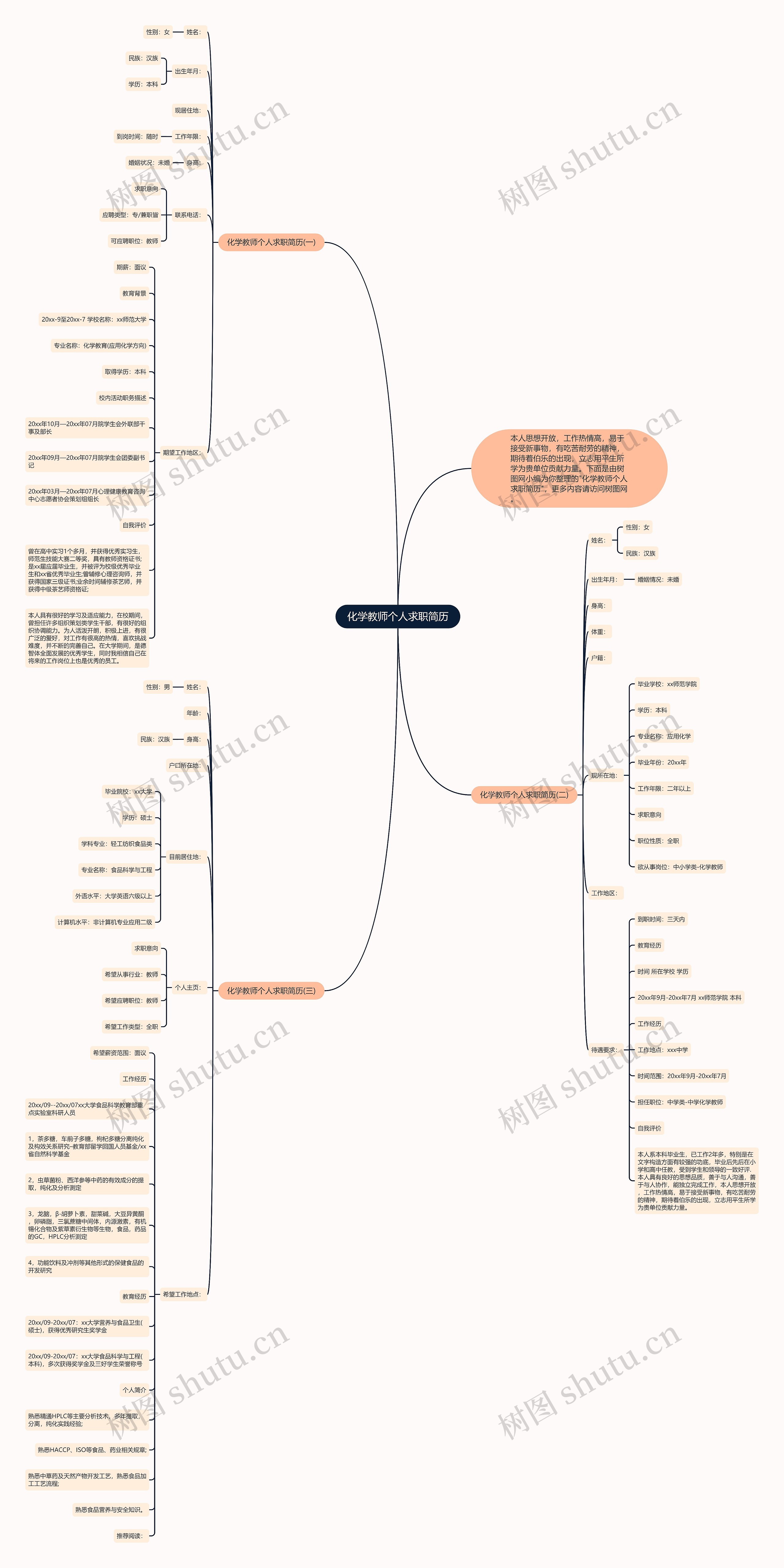 化学教师个人求职简历思维导图