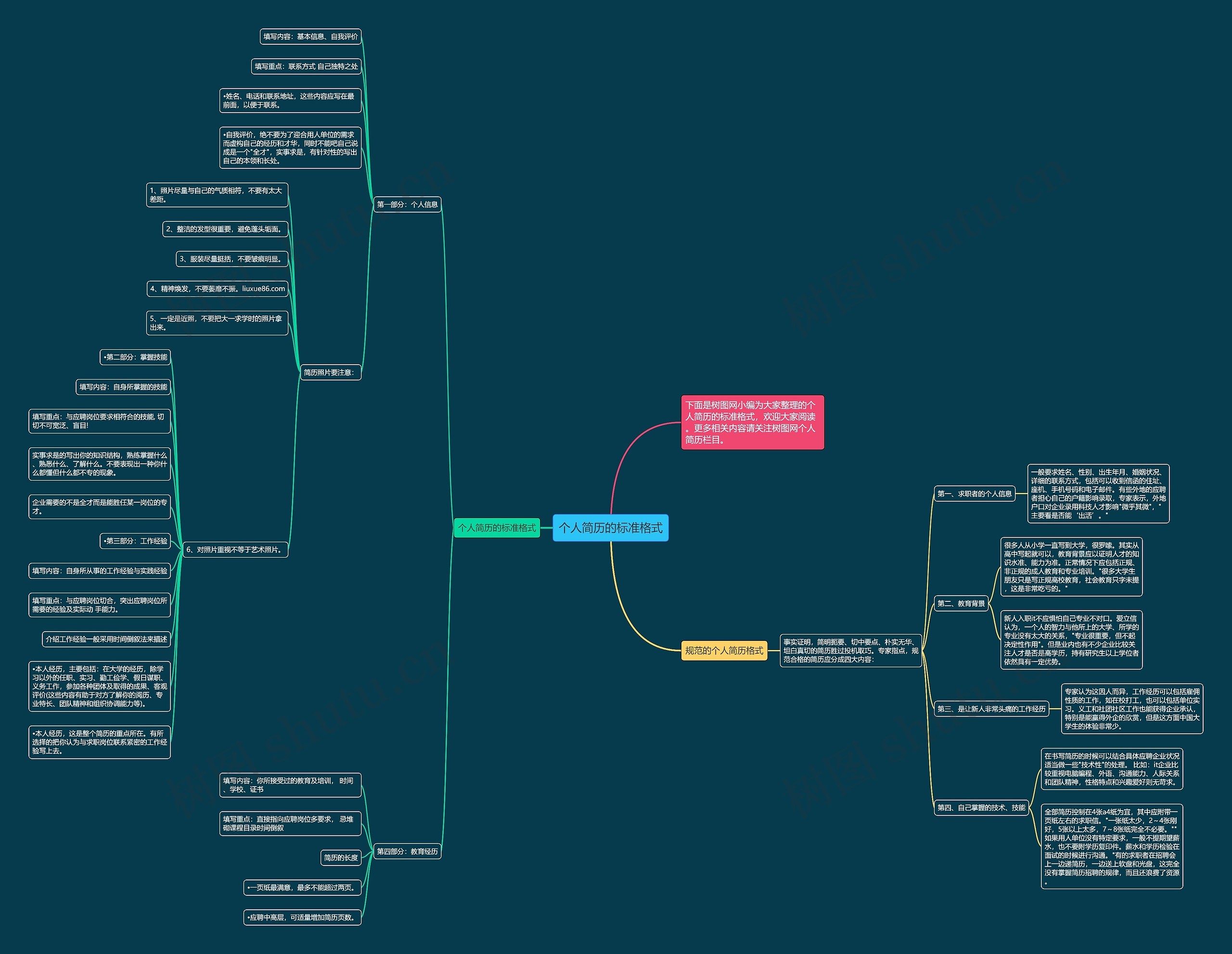 个人简历的标准格式思维导图