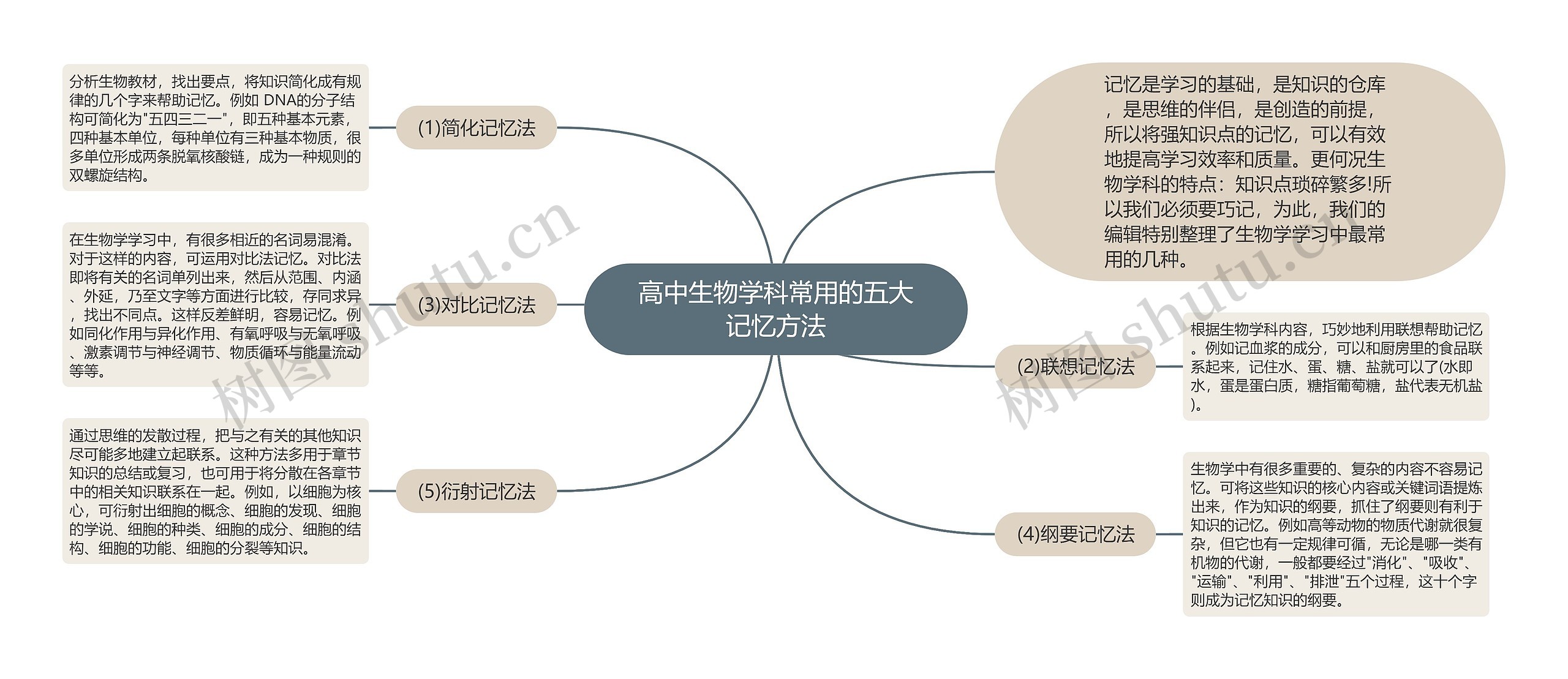 高中生物学科常用的五大记忆方法