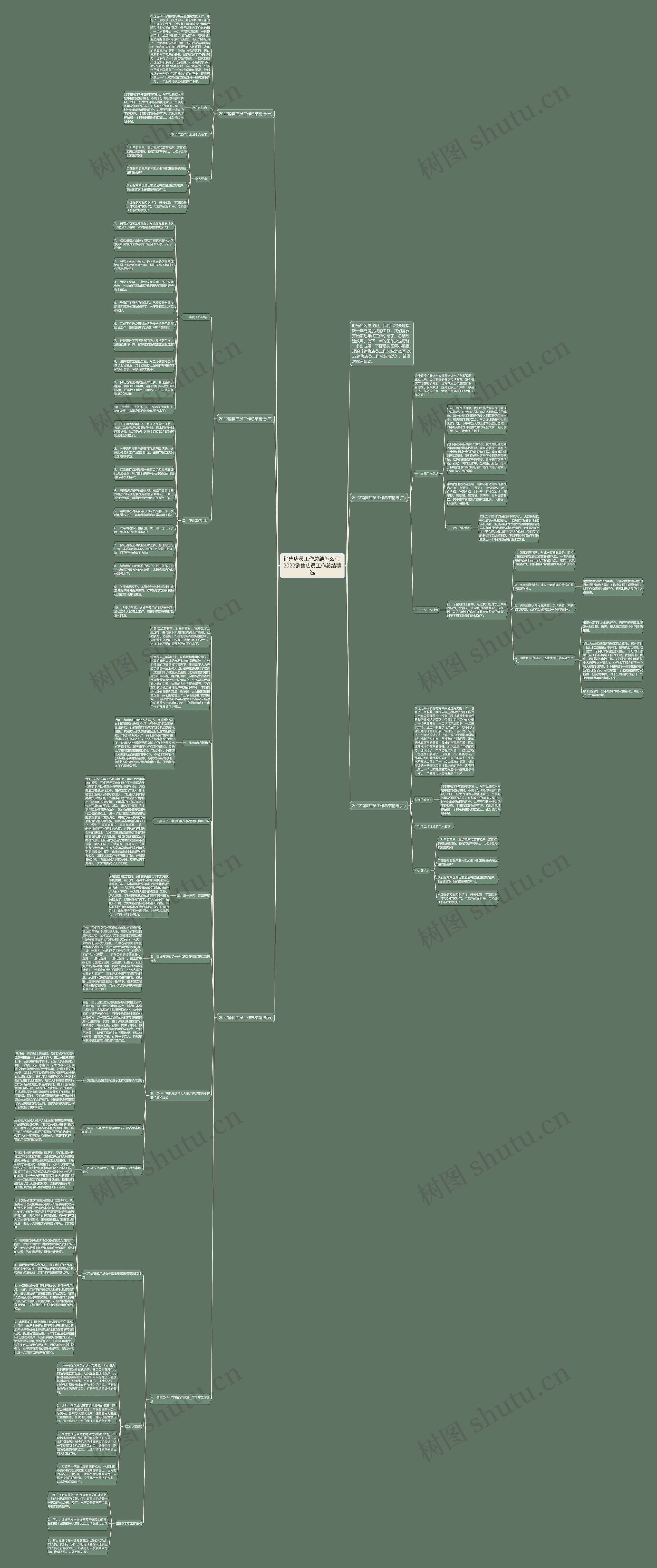 销售店员工作总结怎么写 2022销售店员工作总结精选思维导图