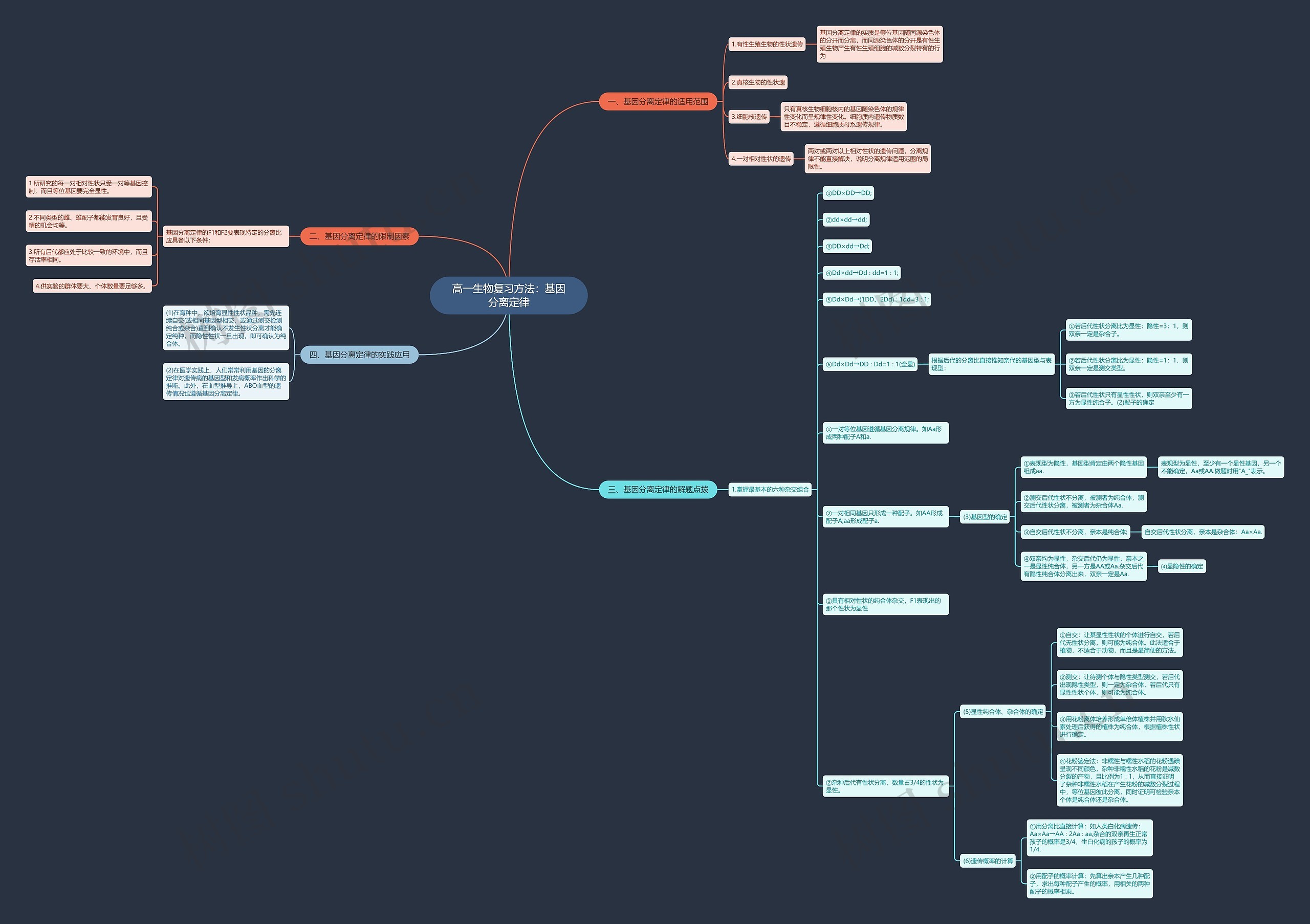 高一分离定律思维导图图片