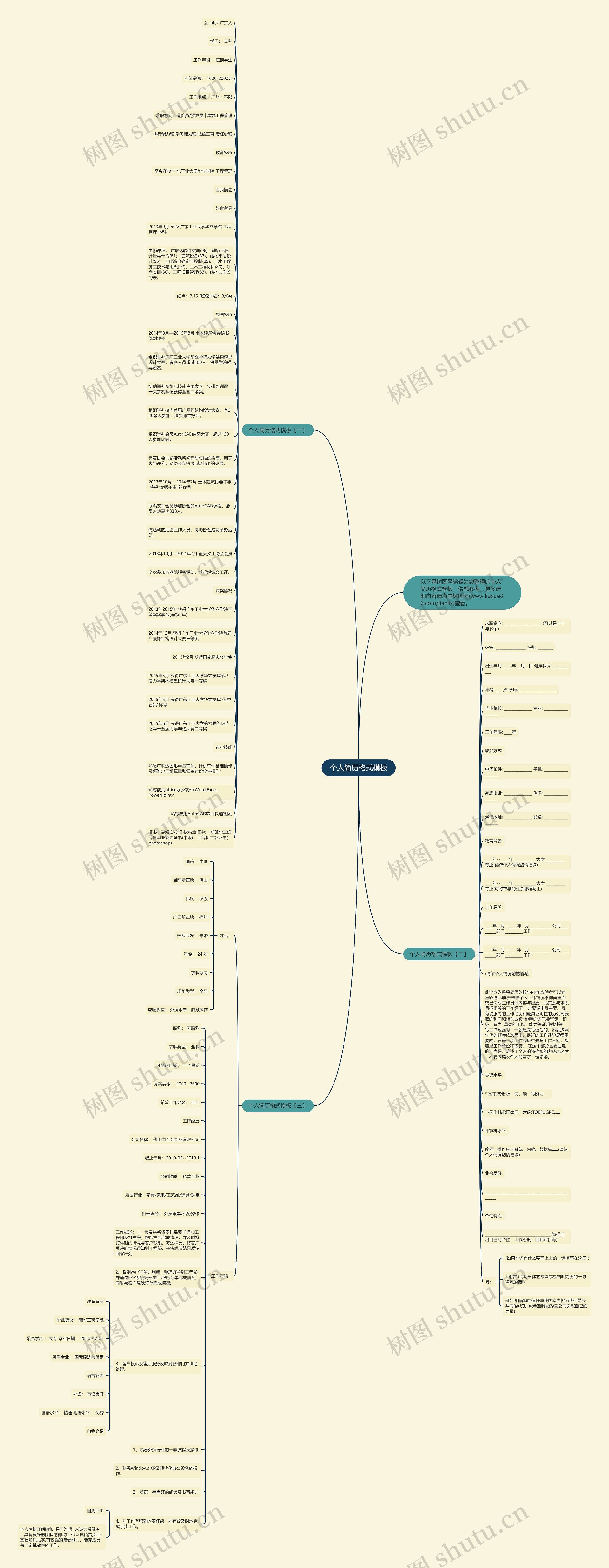 个人简历格式思维导图