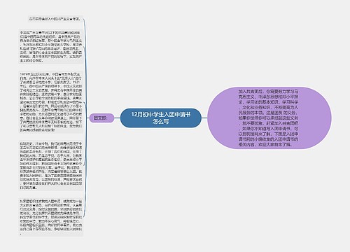 12月初中学生入团申请书怎么写