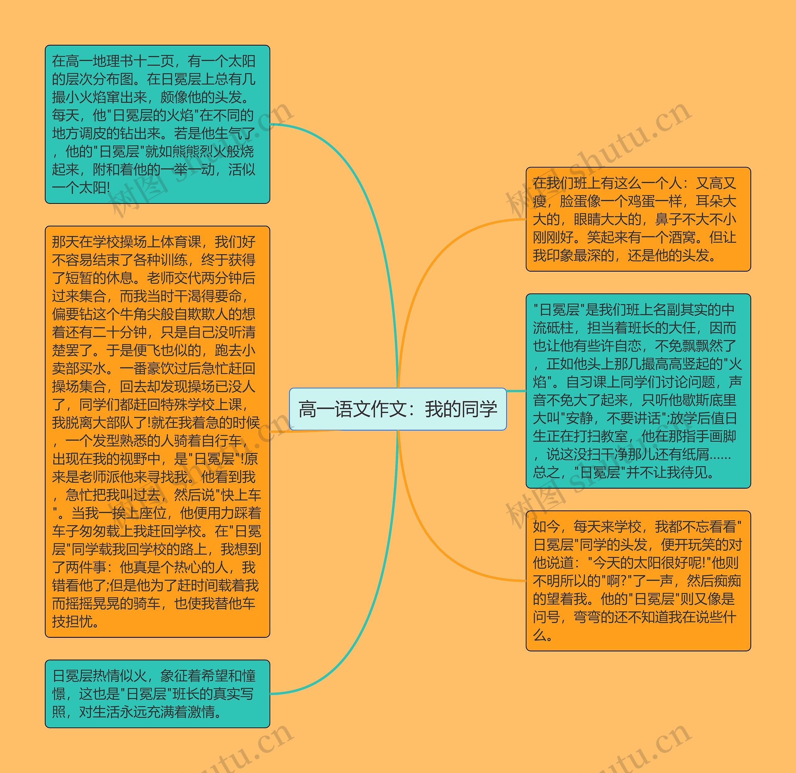 高一语文作文：我的同学