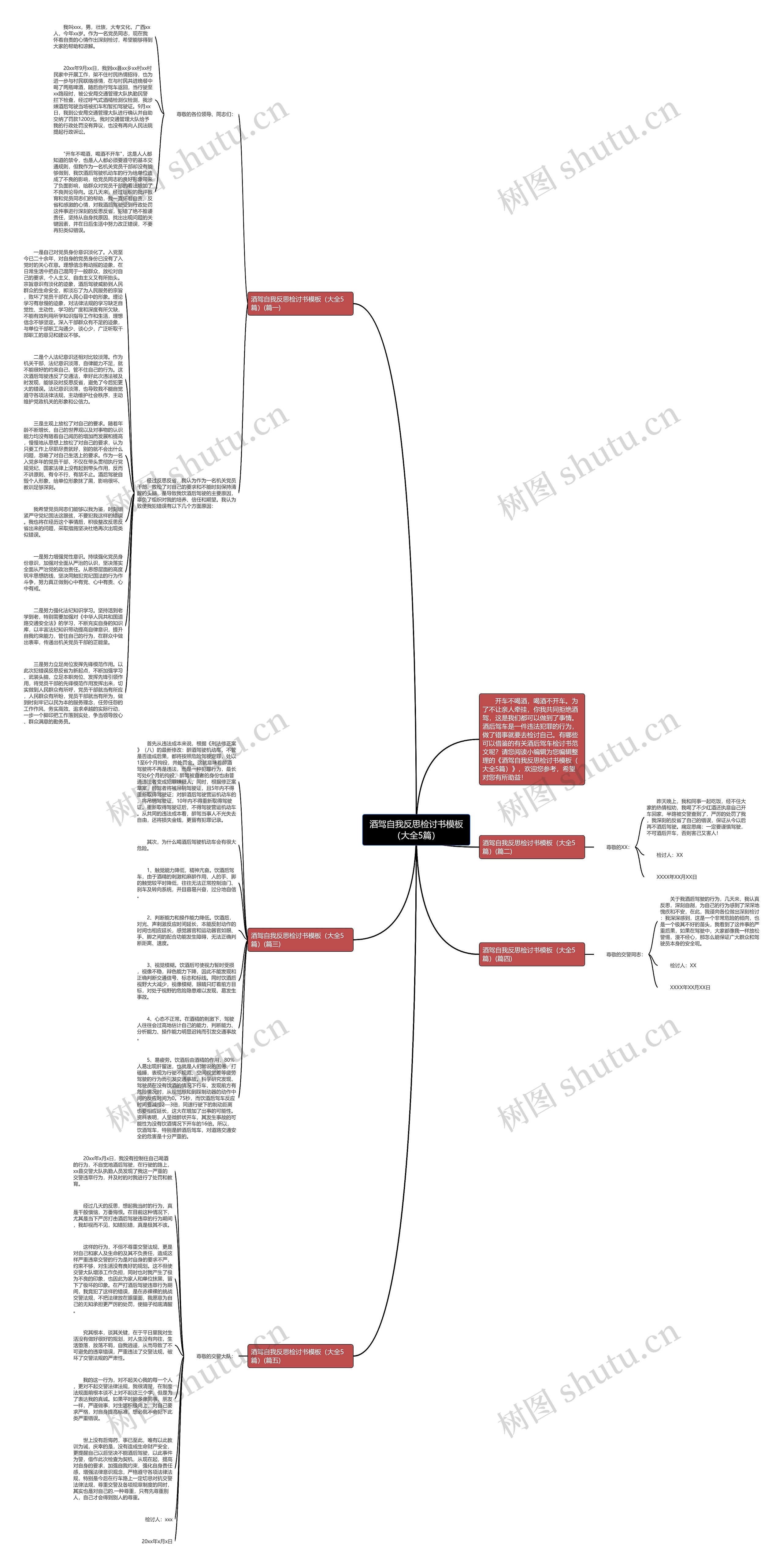 酒驾自我反思检讨书（大全5篇）思维导图