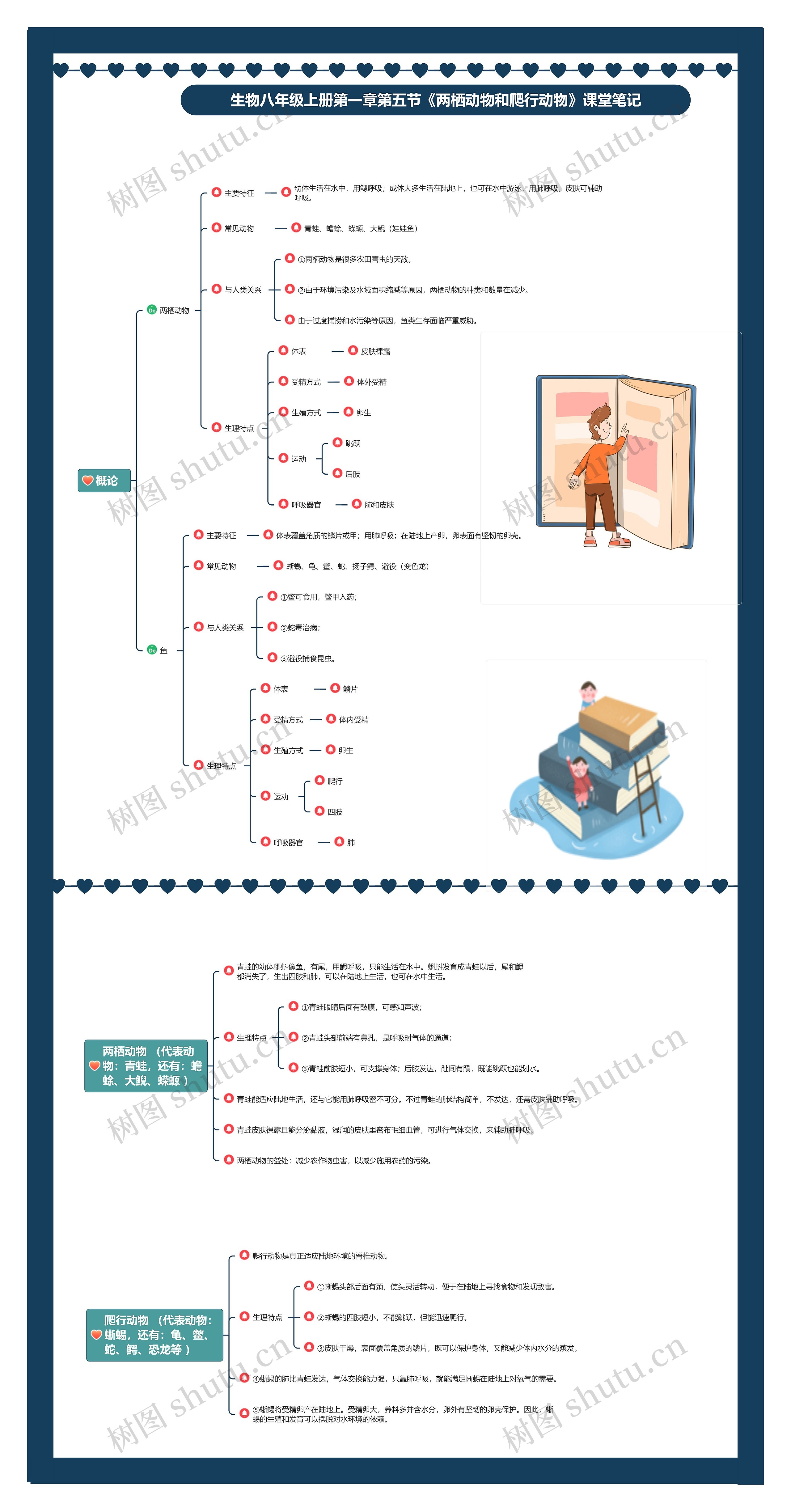 生物八年级上册第一章第五节《两栖动物和爬行动物》课堂笔记思维导图