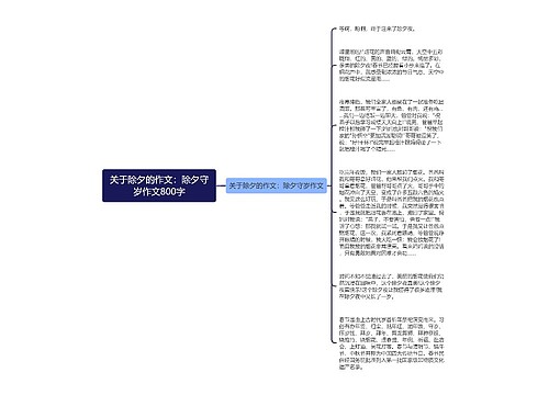 关于除夕的作文：除夕守岁作文800字