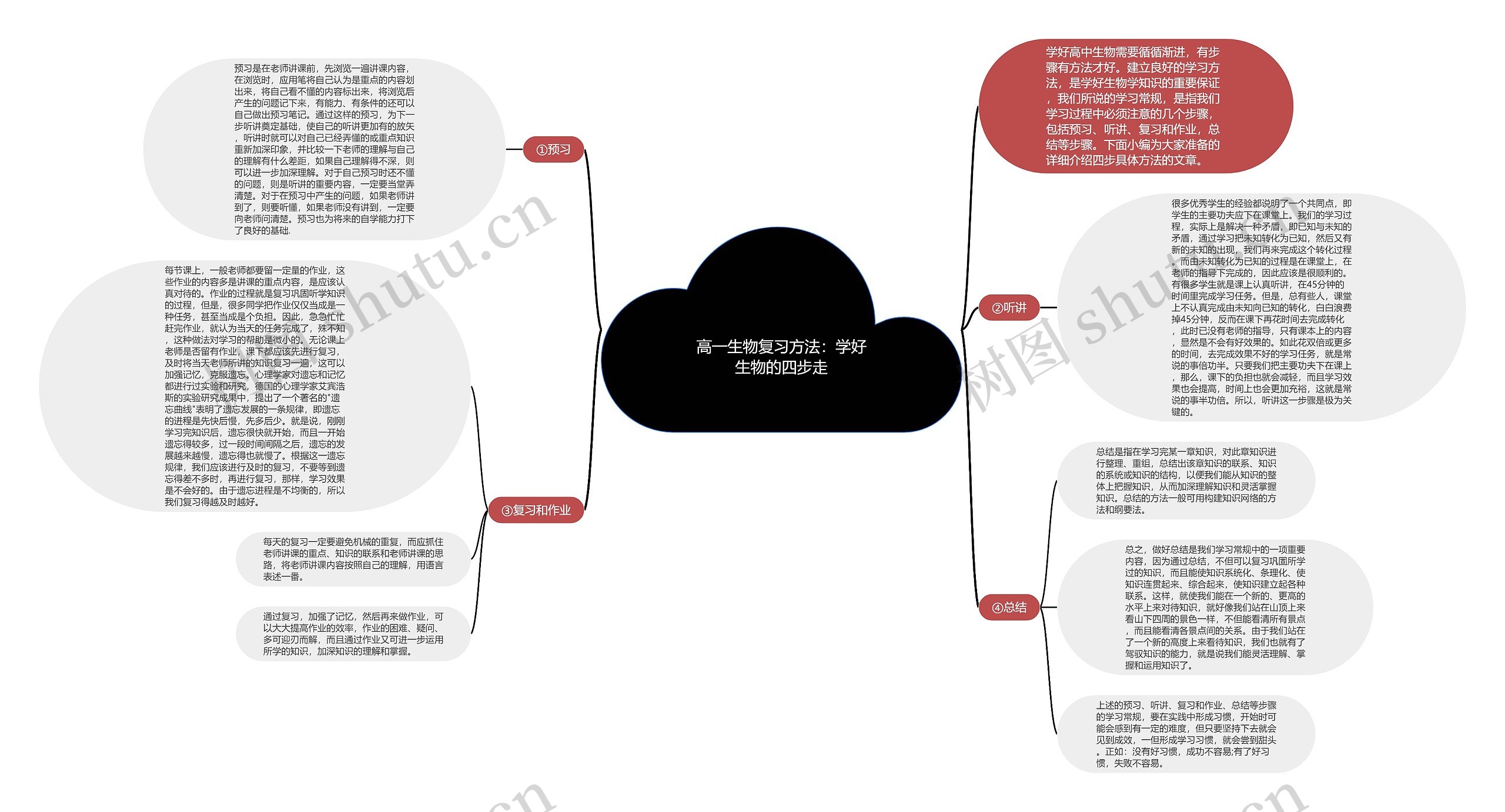 高一生物复习方法：学好生物的四步走思维导图