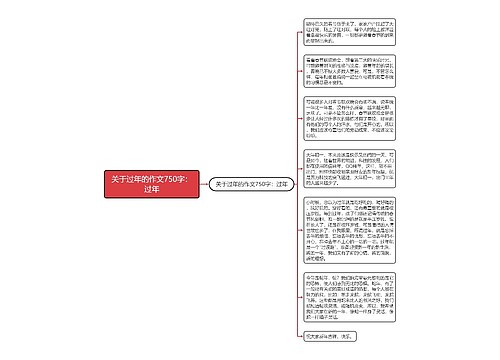 关于过年的作文750字：过年