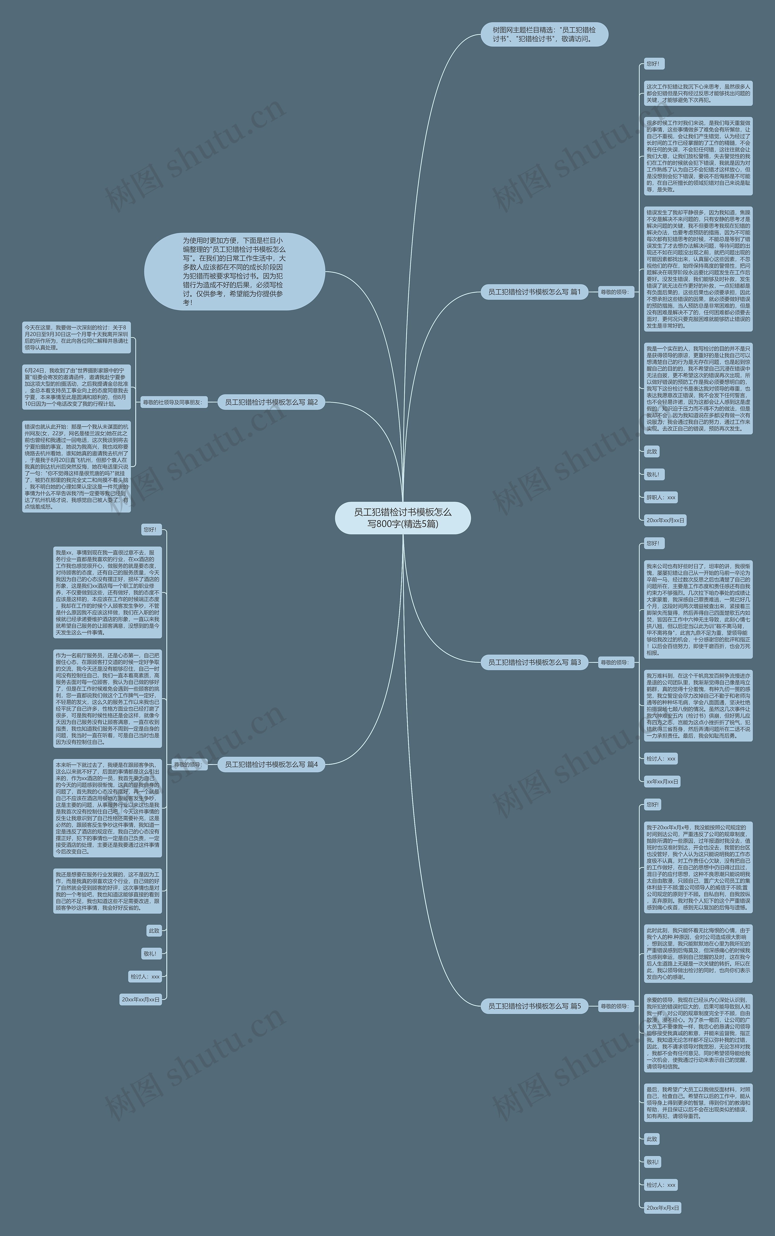 员工犯错检讨书怎么写800字(精选5篇)思维导图