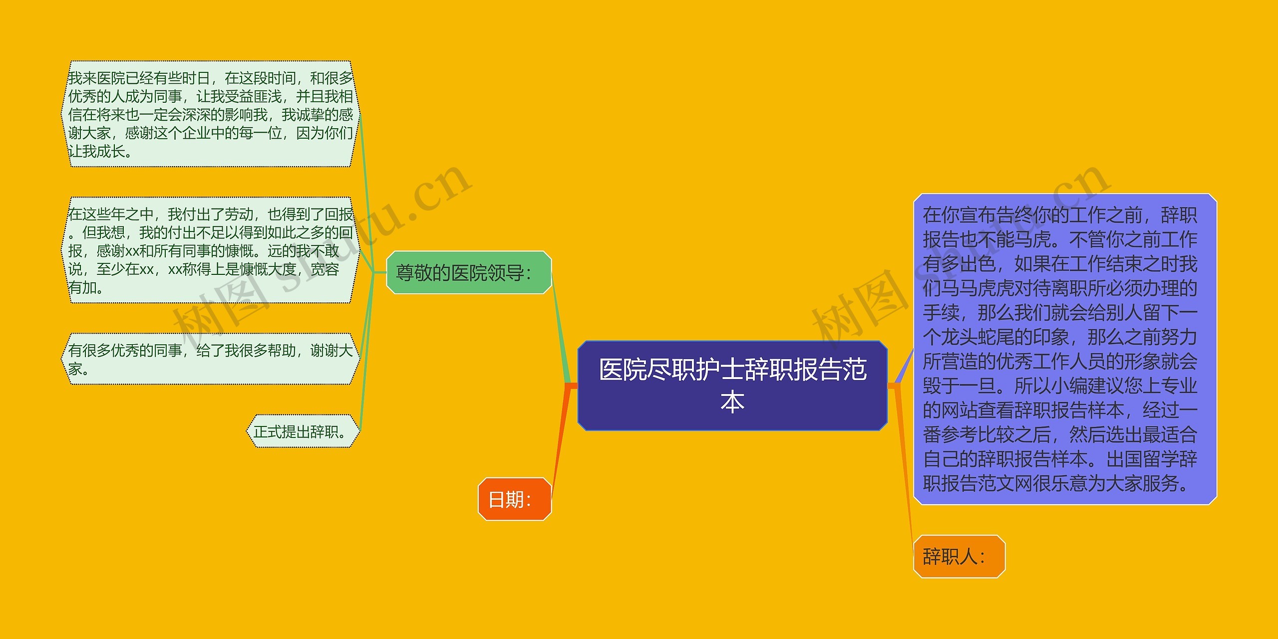 医院尽职护士辞职报告范本