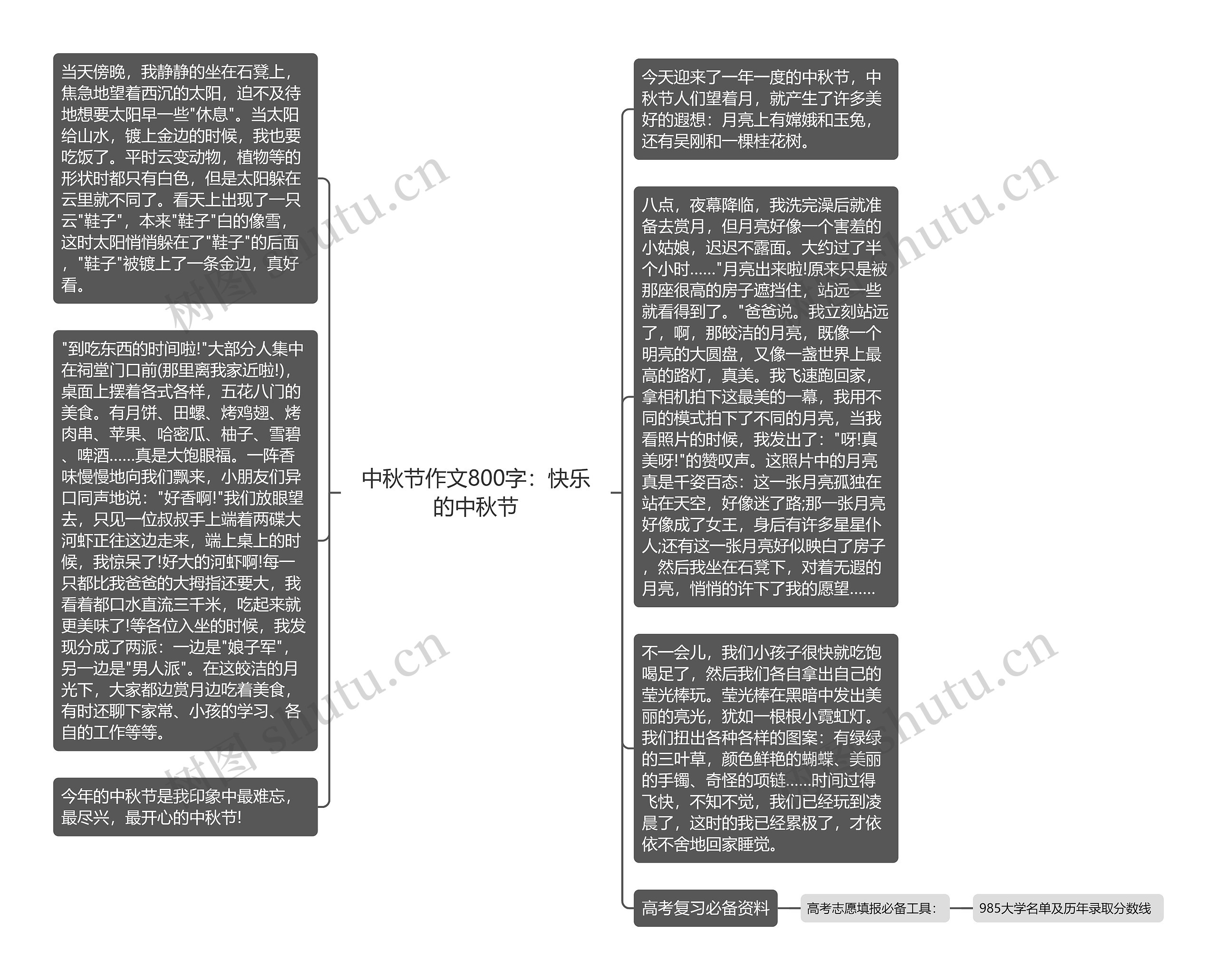 中秋节作文800字：快乐的中秋节