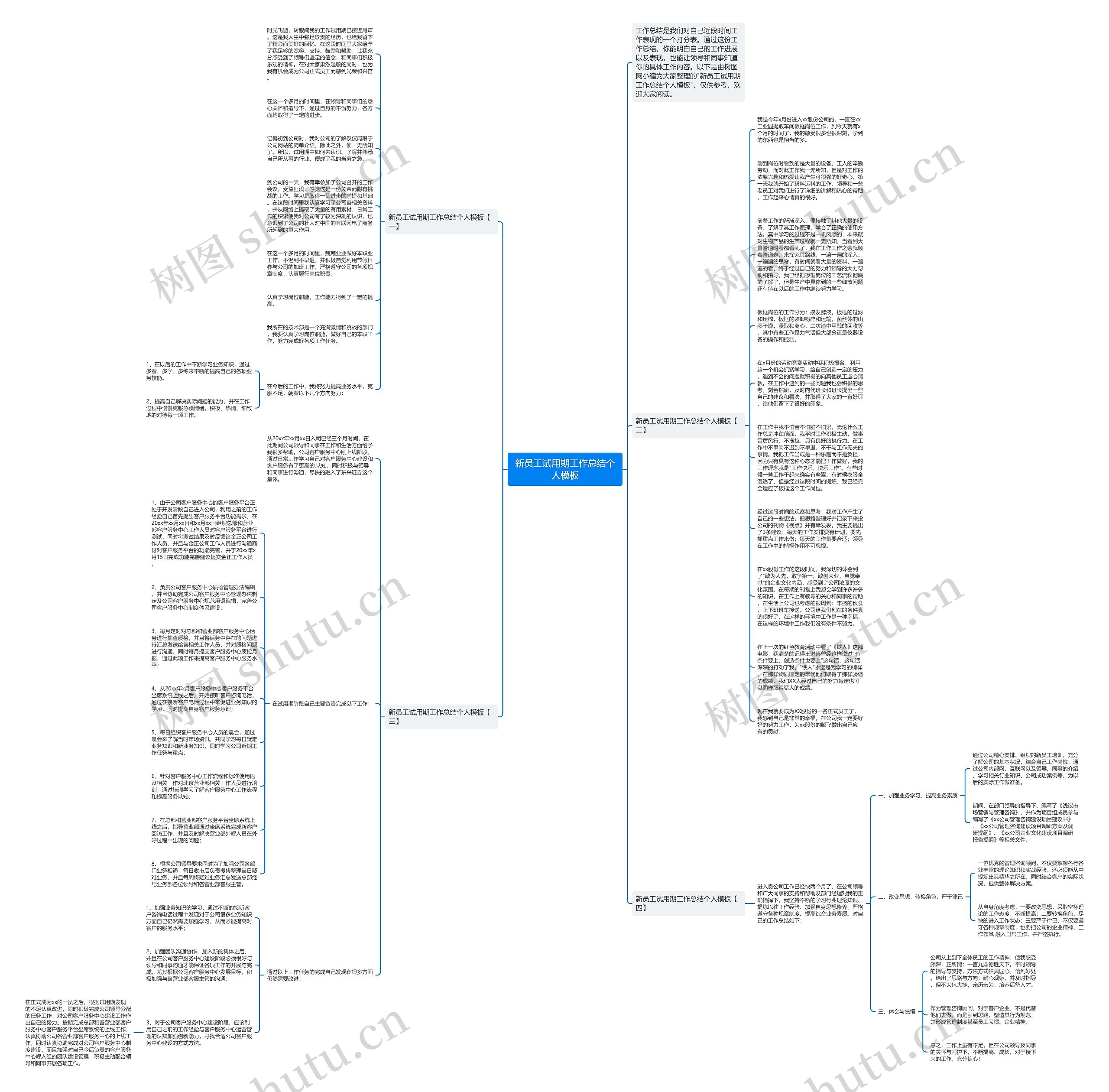 新员工试用期工作总结个人思维导图