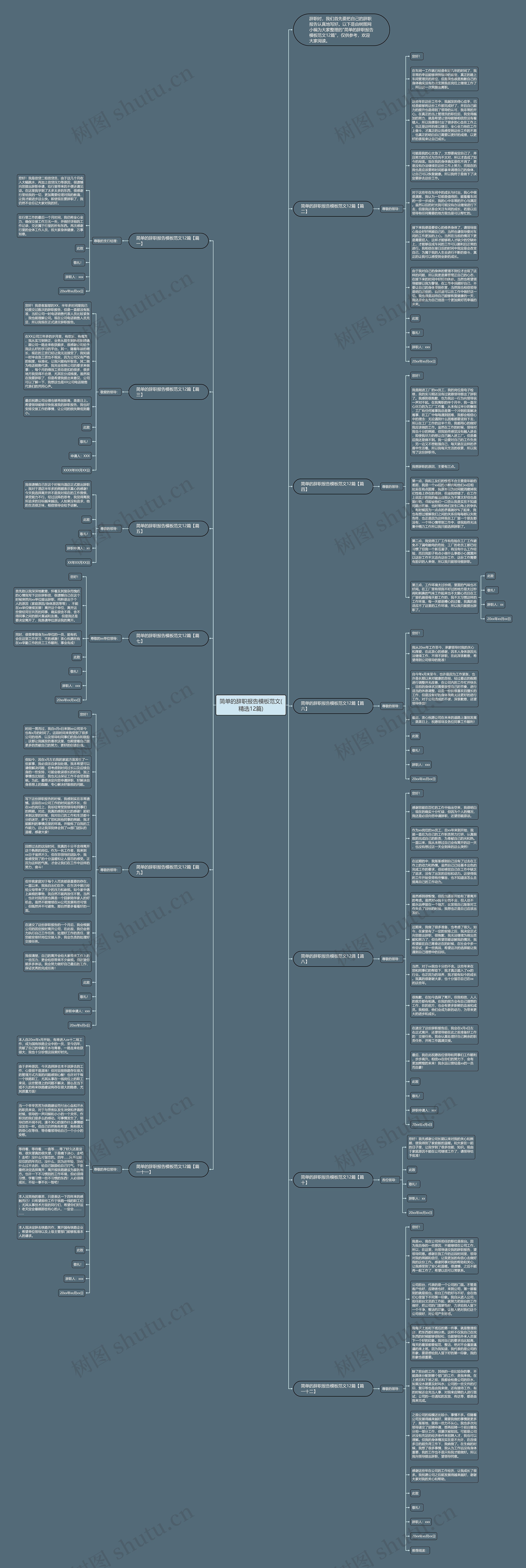 简单的辞职报告范文(精选12篇)思维导图