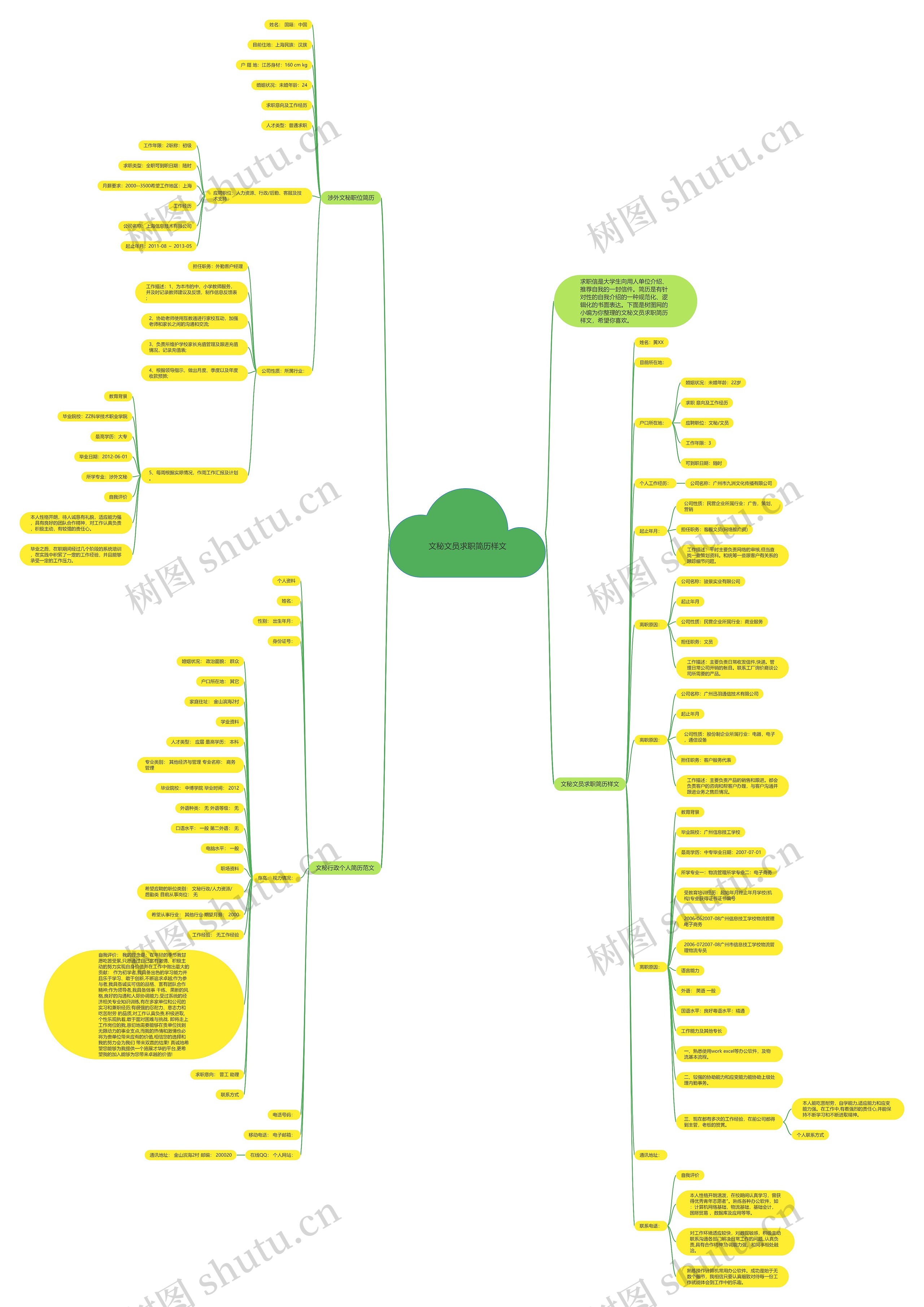 文秘文员求职简历样文思维导图