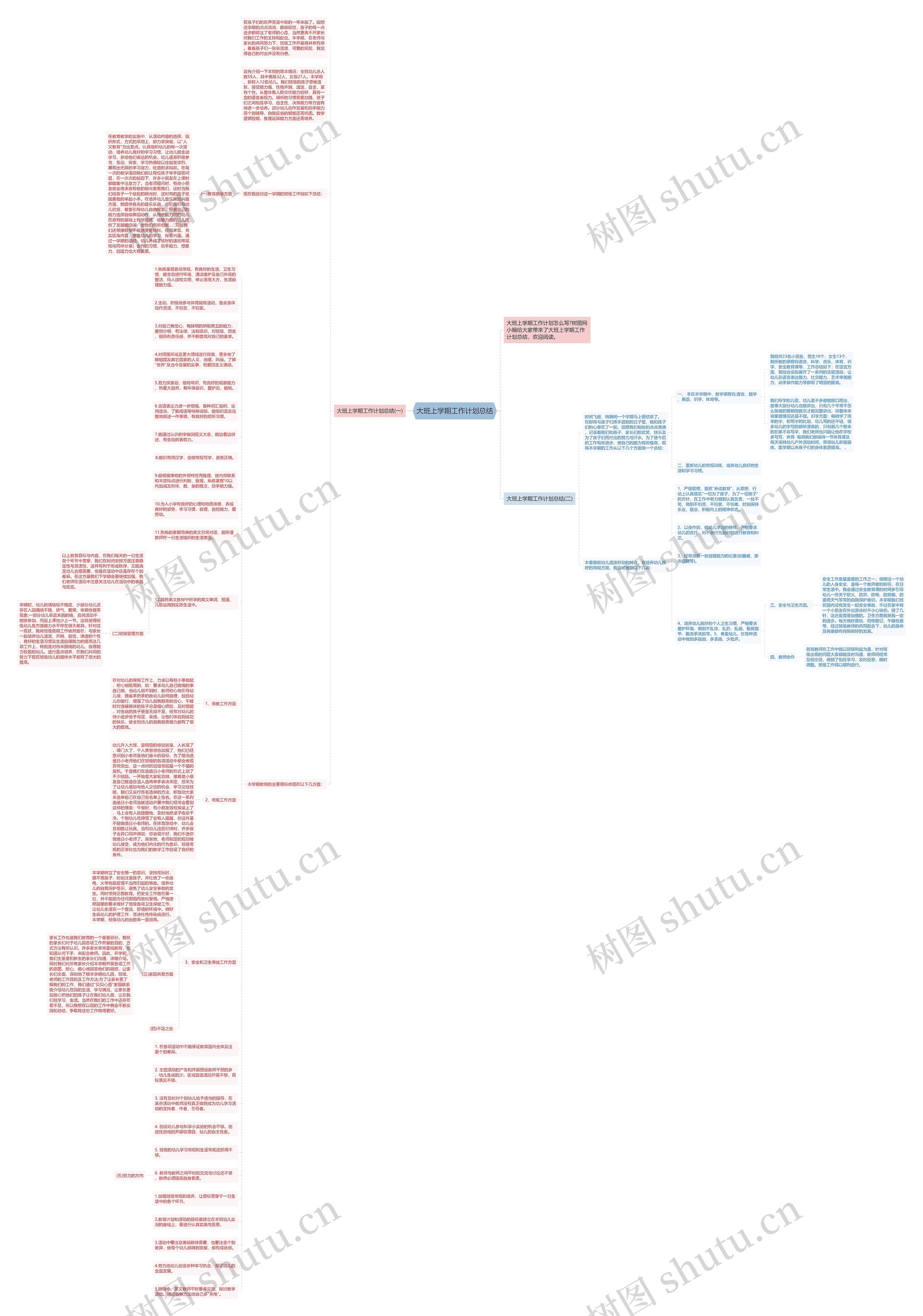 大班上学期工作计划总结思维导图
