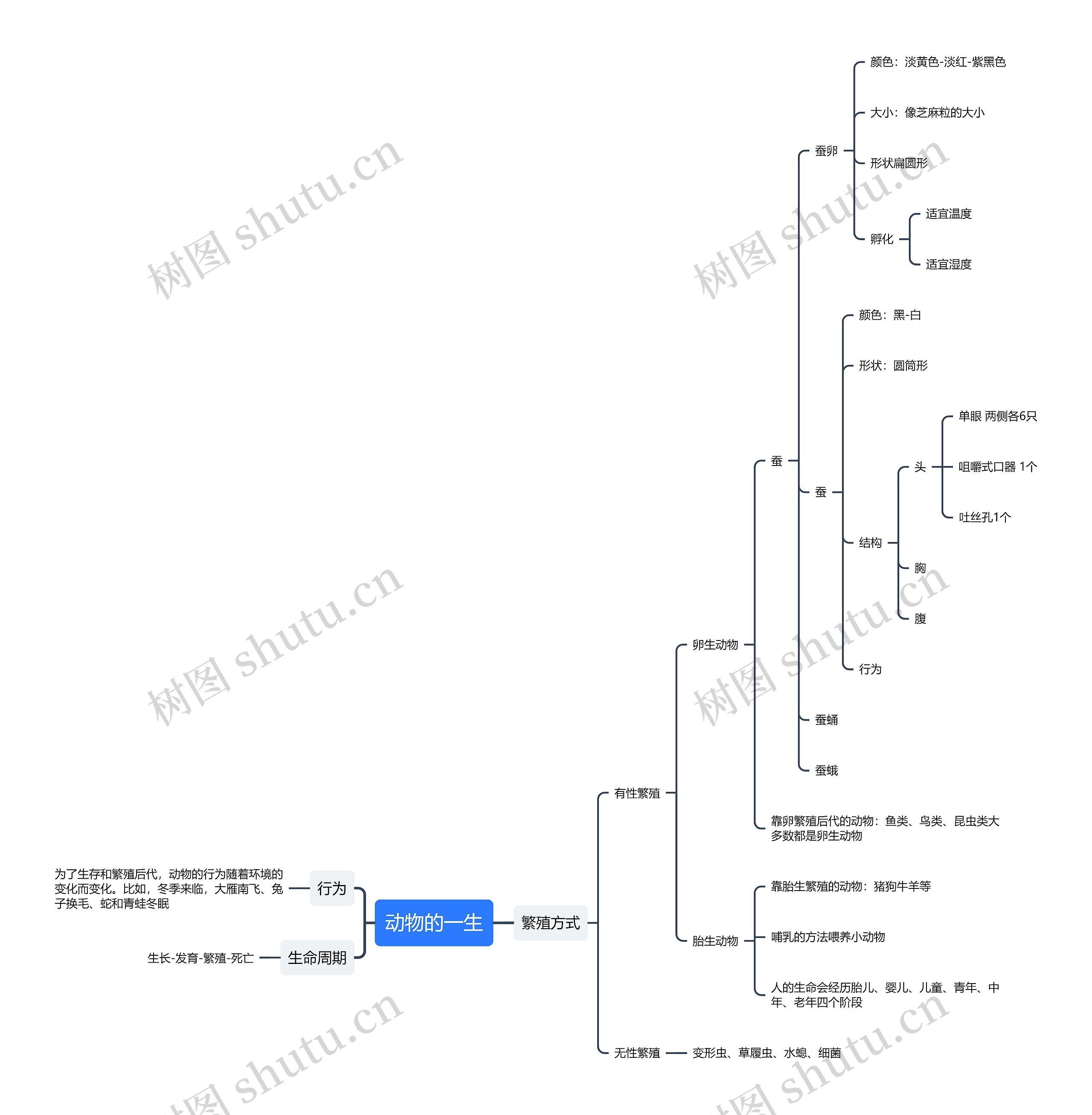 动物的一生思维导图