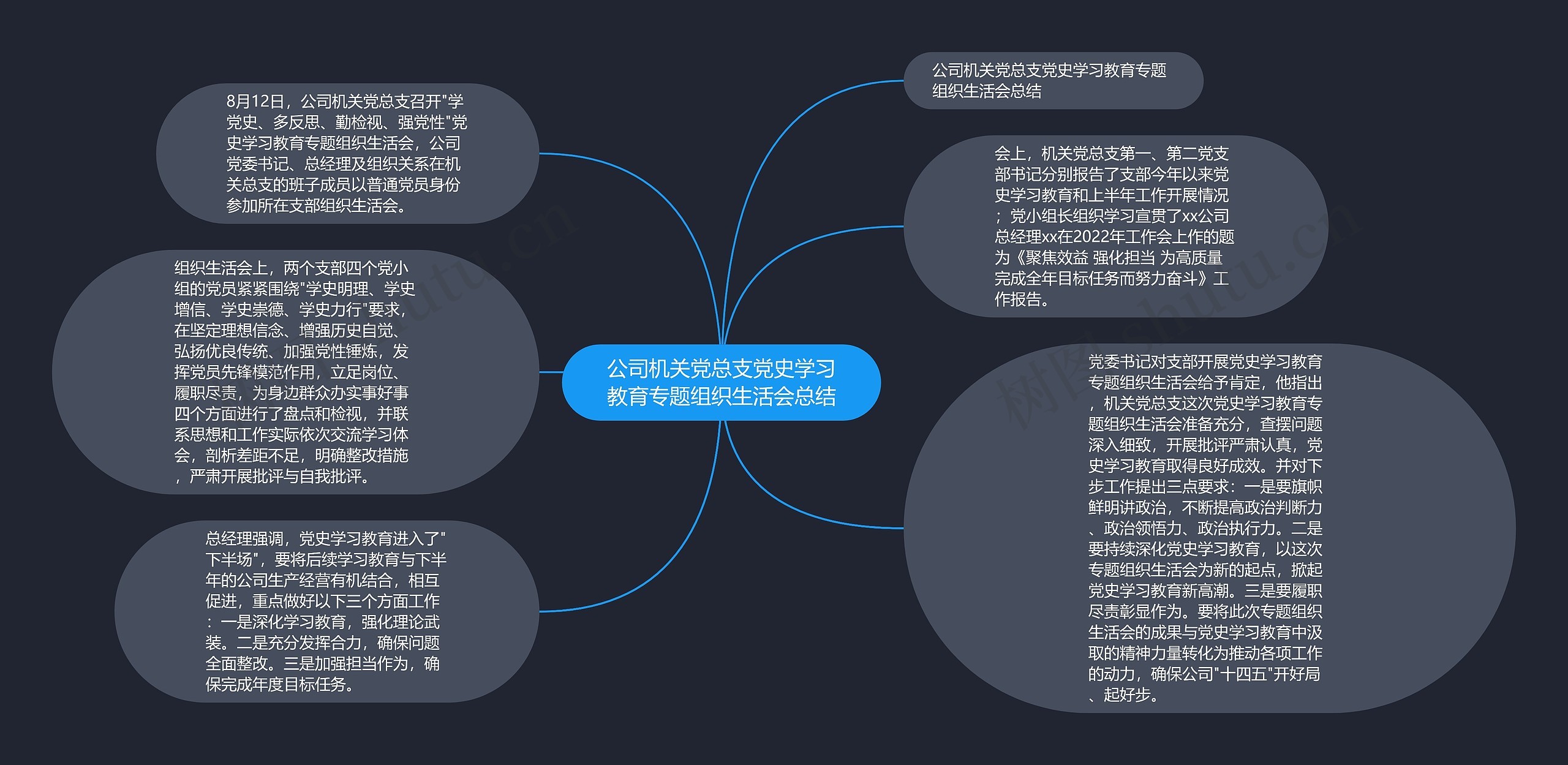 公司机关党总支党史学习教育专题组织生活会总结