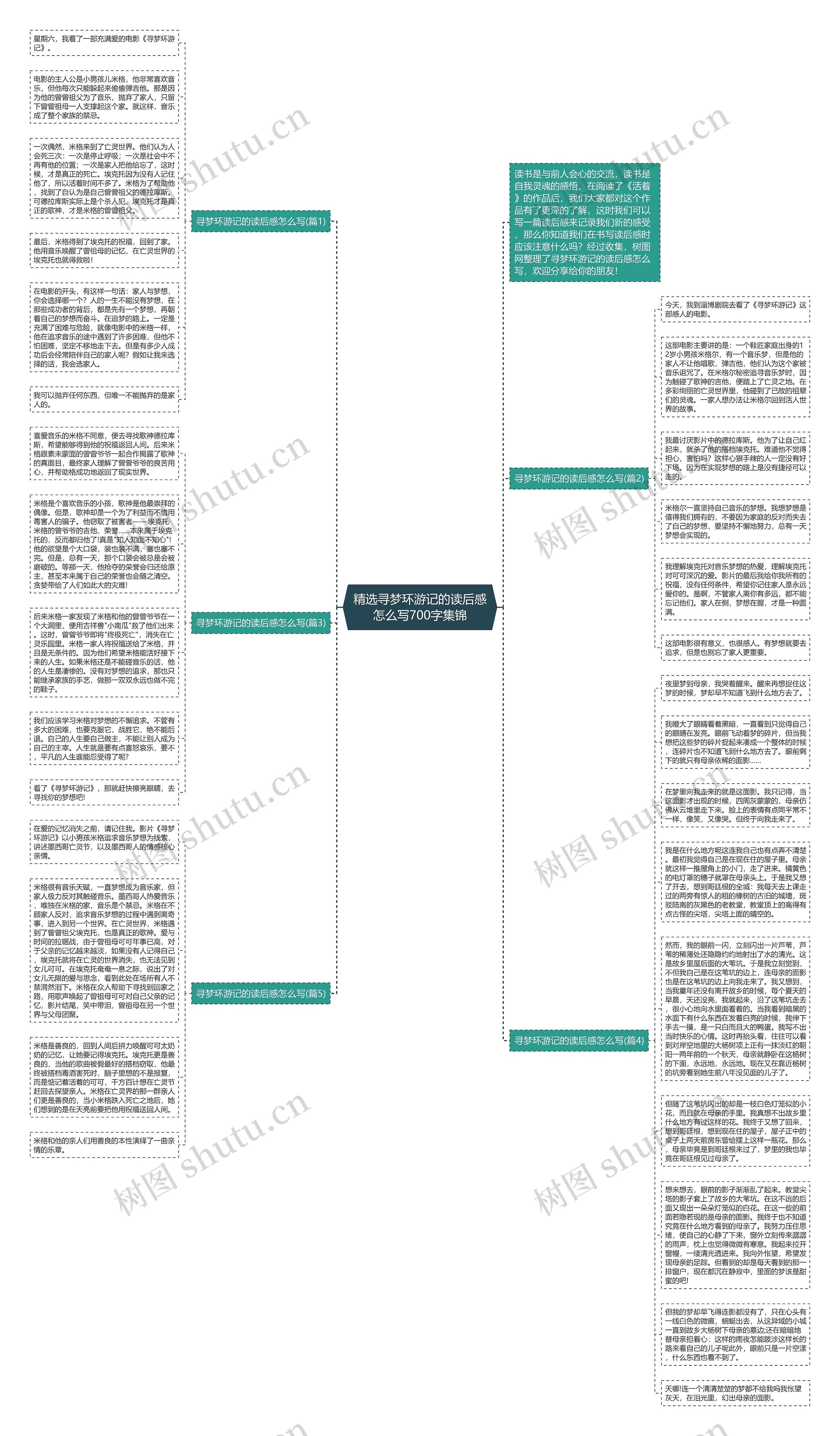 精选寻梦环游记的读后感怎么写700字集锦思维导图