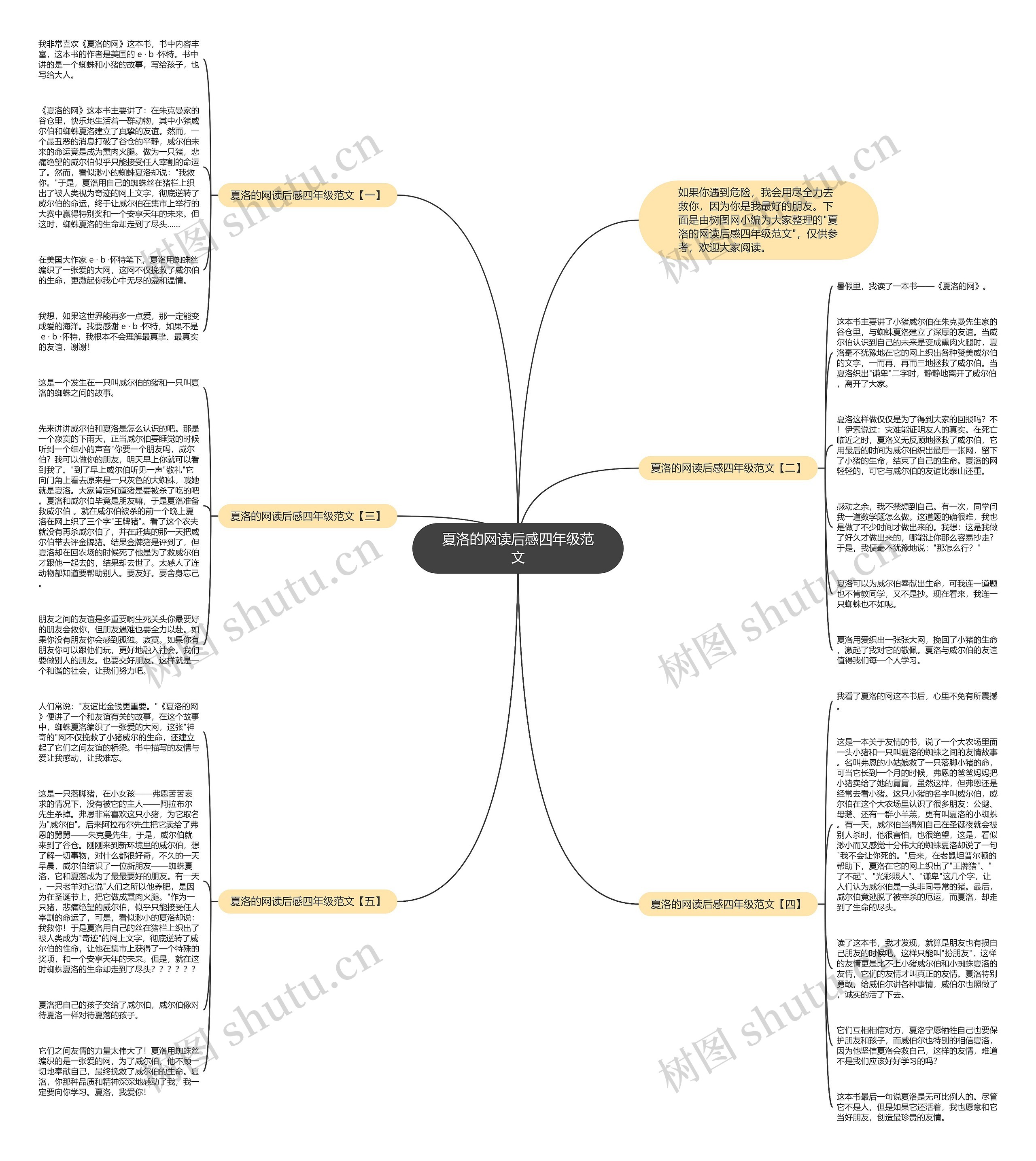 夏洛的网读后感四年级范文思维导图