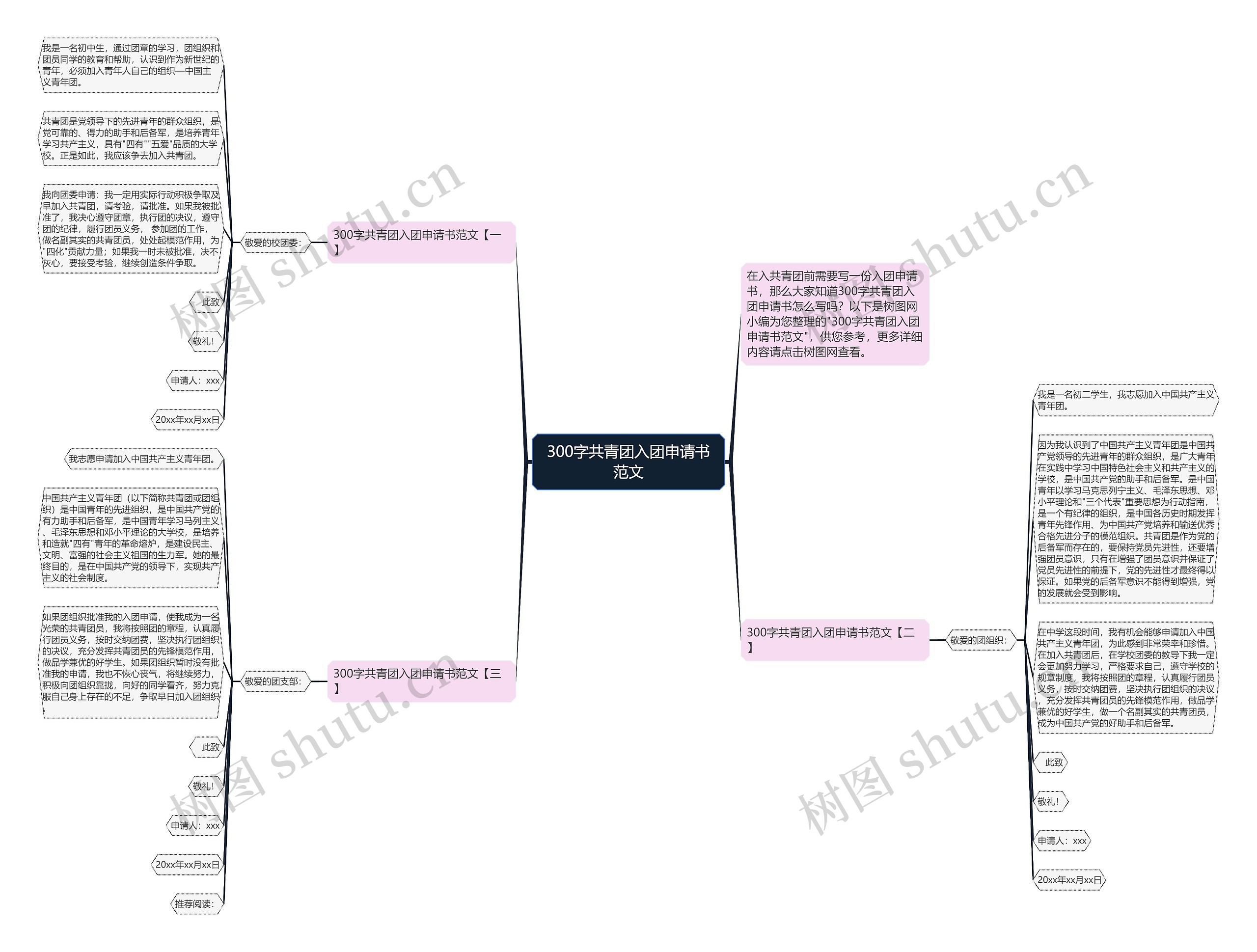 300字共青团入团申请书范文思维导图
