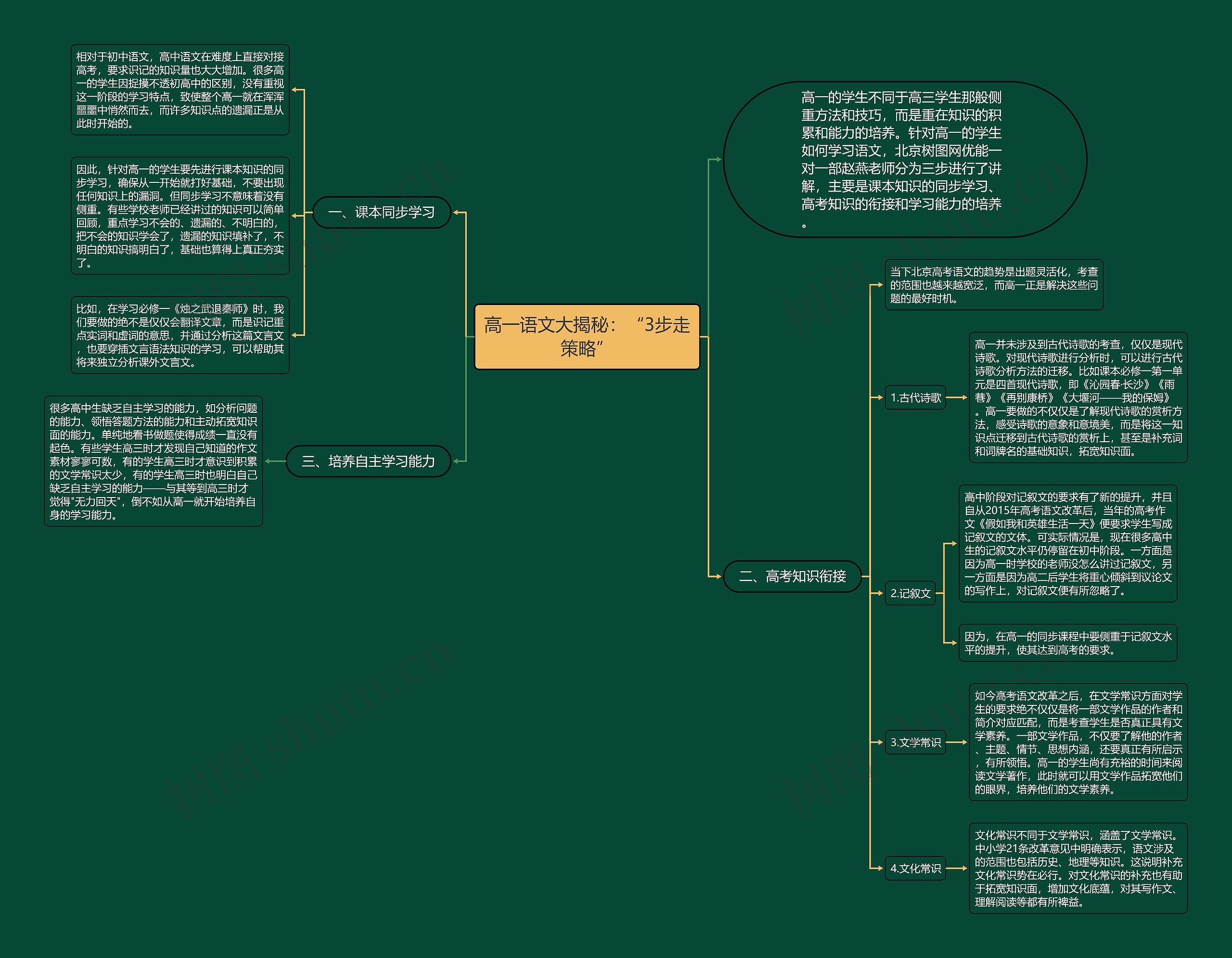 高一语文大揭秘：“3步走策略”思维导图