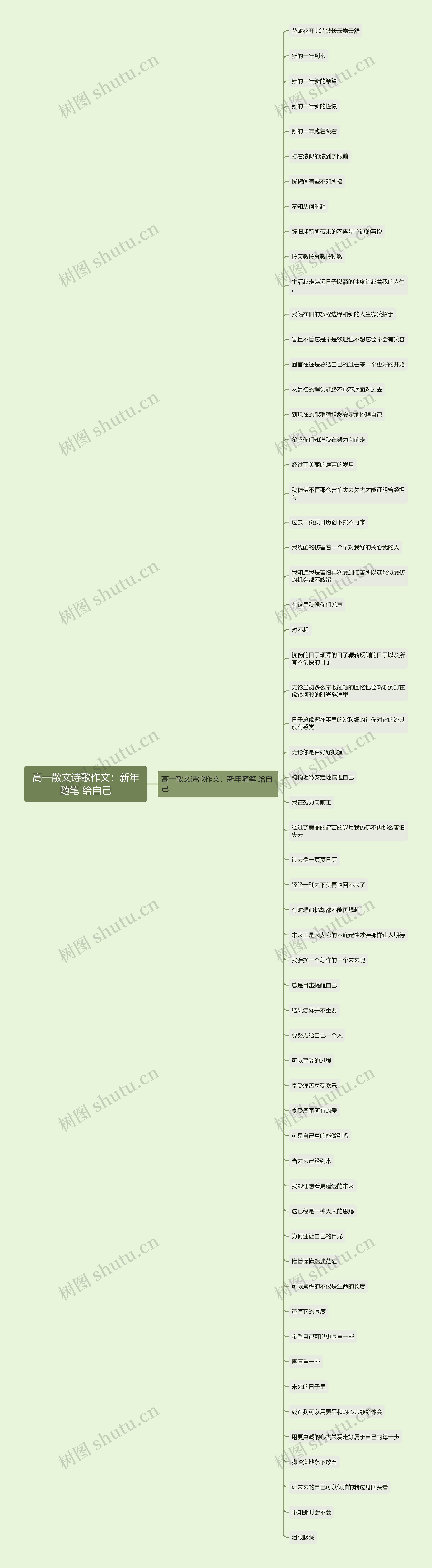 高一散文诗歌作文：新年随笔 给自己思维导图