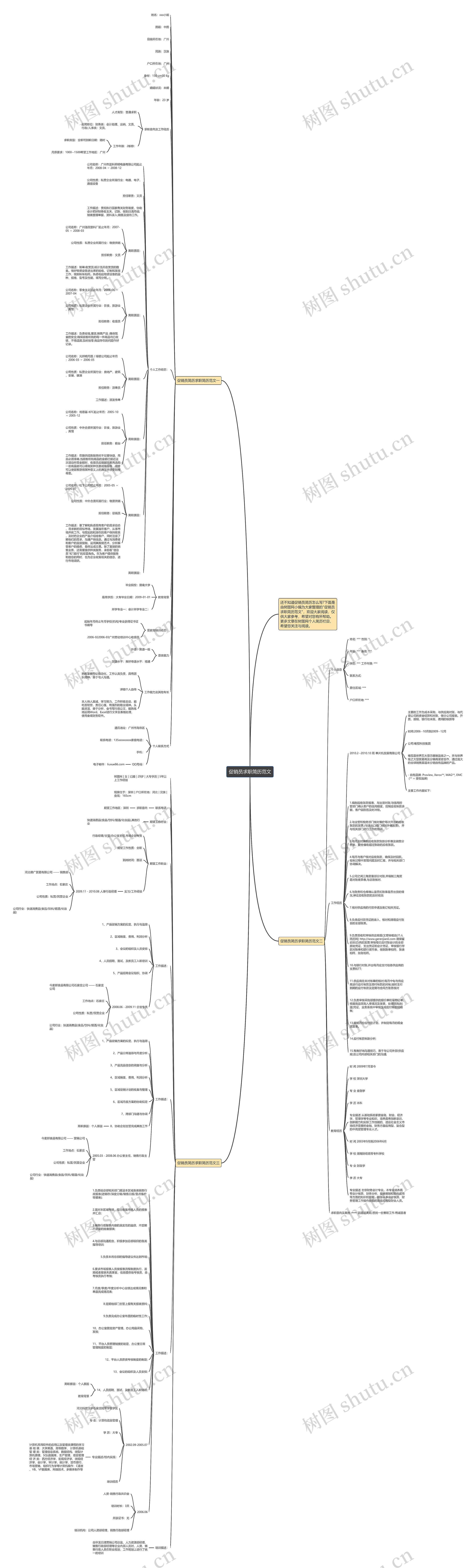 促销员求职简历范文思维导图