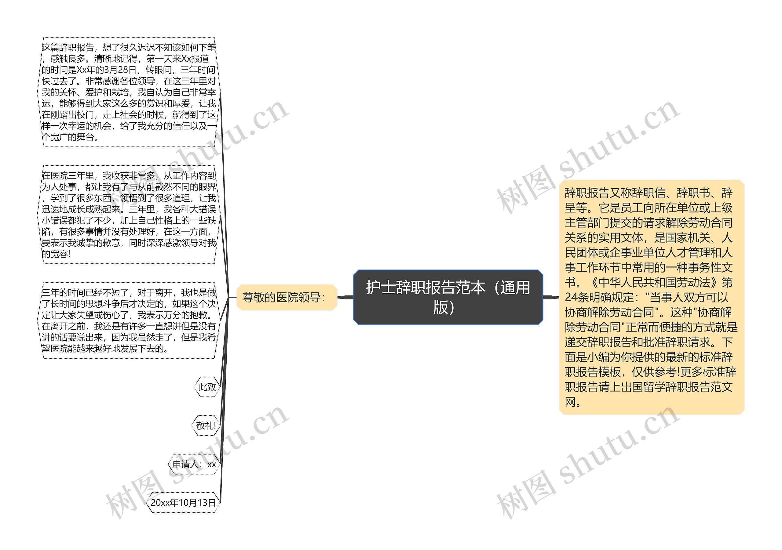 护士辞职报告范本（通用版）