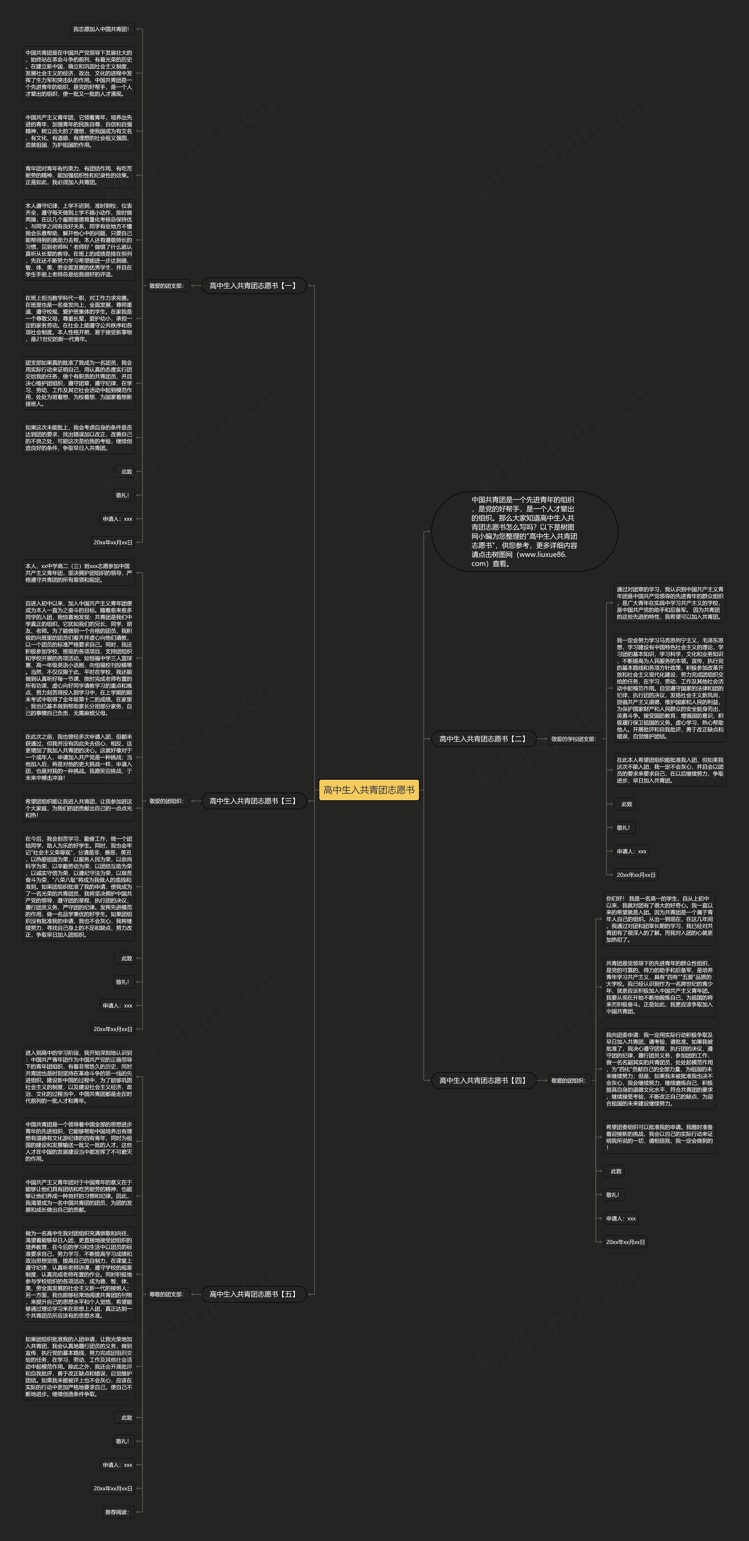 高中生入共青团志愿书思维导图