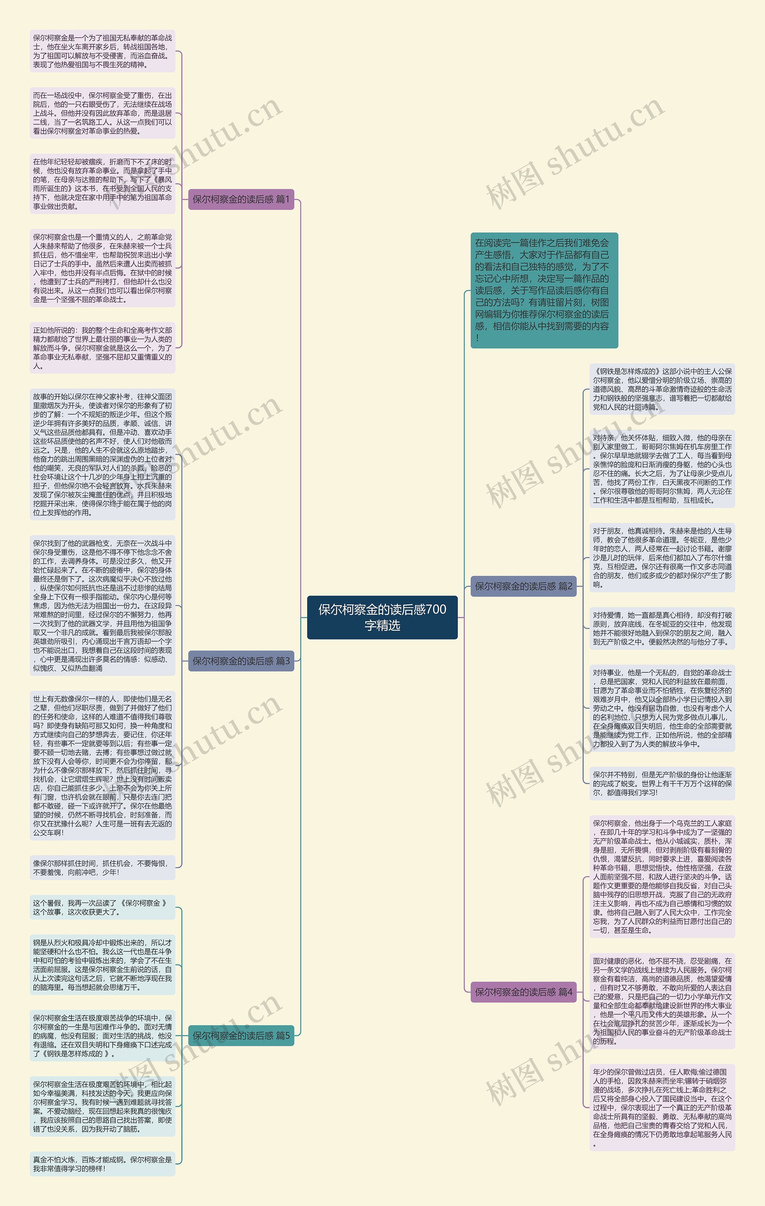 保尔柯察金的读后感700字精选思维导图