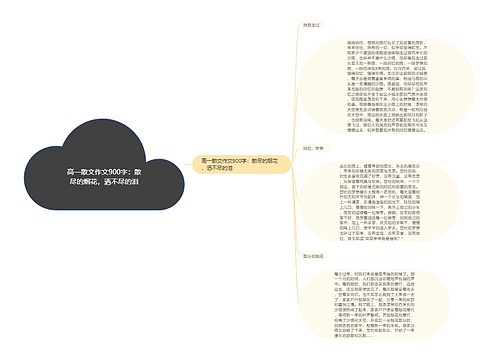 高一散文作文900字：散尽的烟花，洒不尽的泪