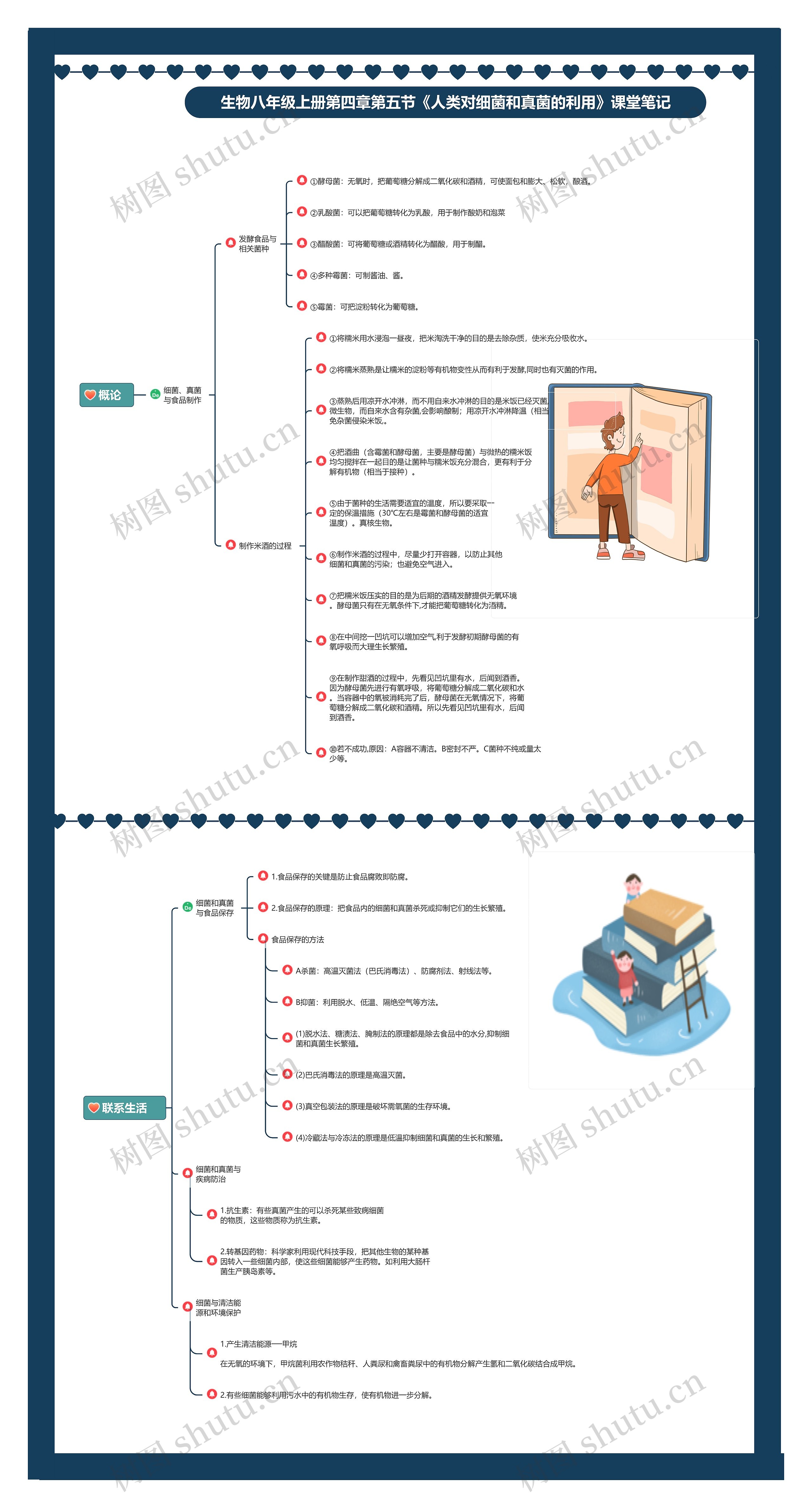 生物八年级上册第四章第五节《人类对细菌和真菌的利用》课堂笔记思维导图