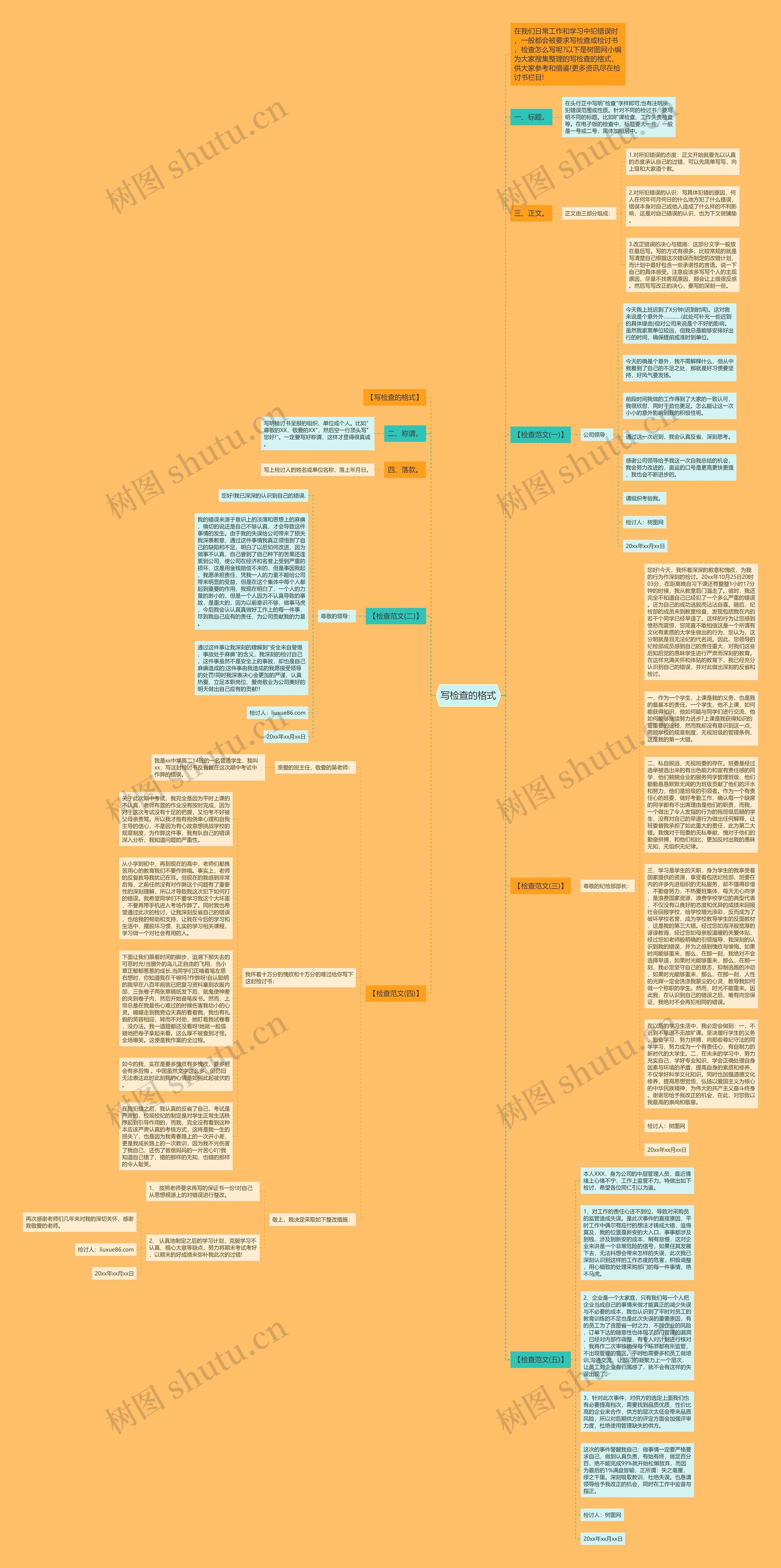 写检查的格式思维导图