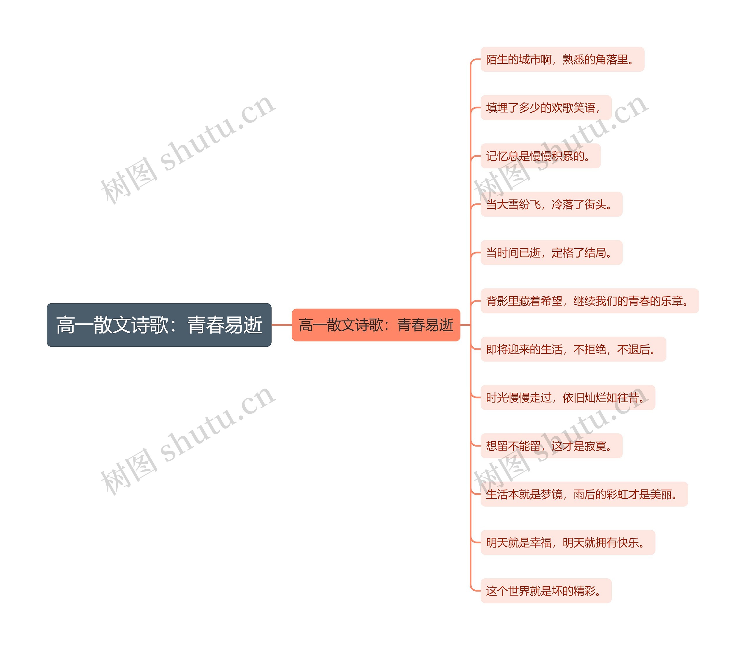 高一散文诗歌：青春易逝